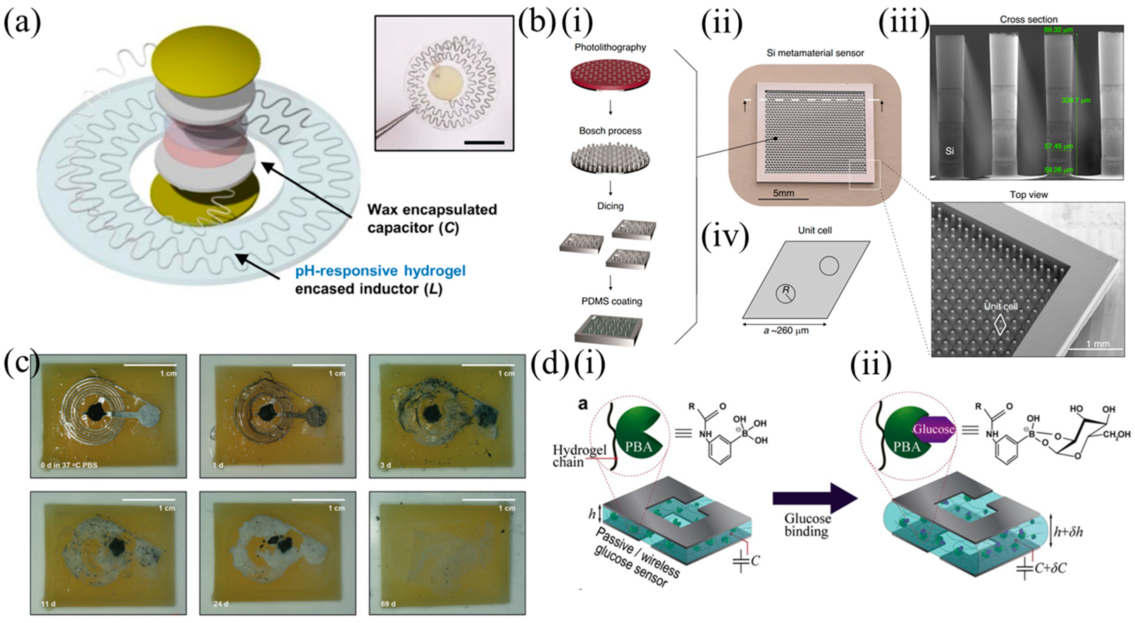 Sensors 25 00133 g006