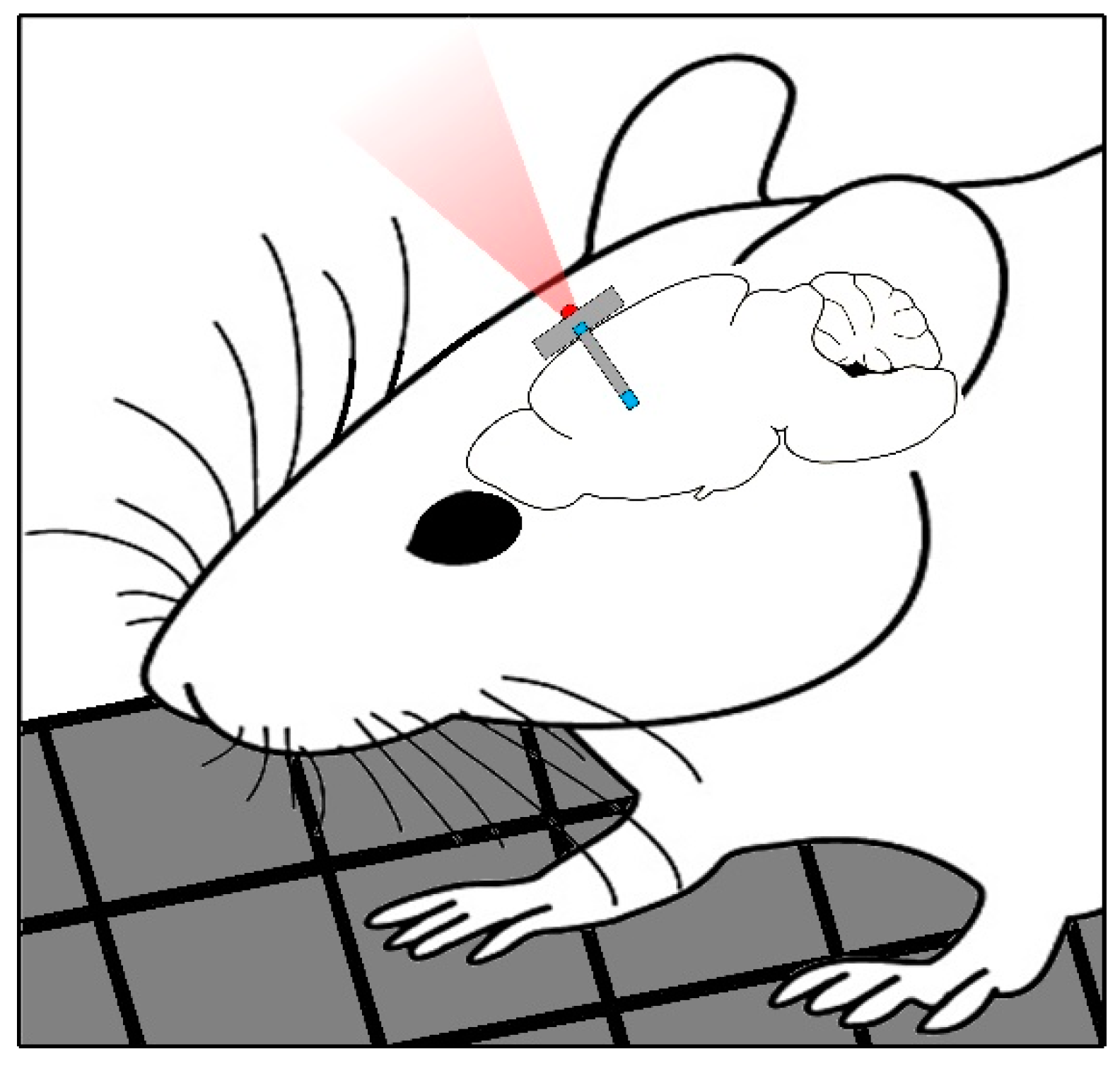 Sensors 25 00138 g001