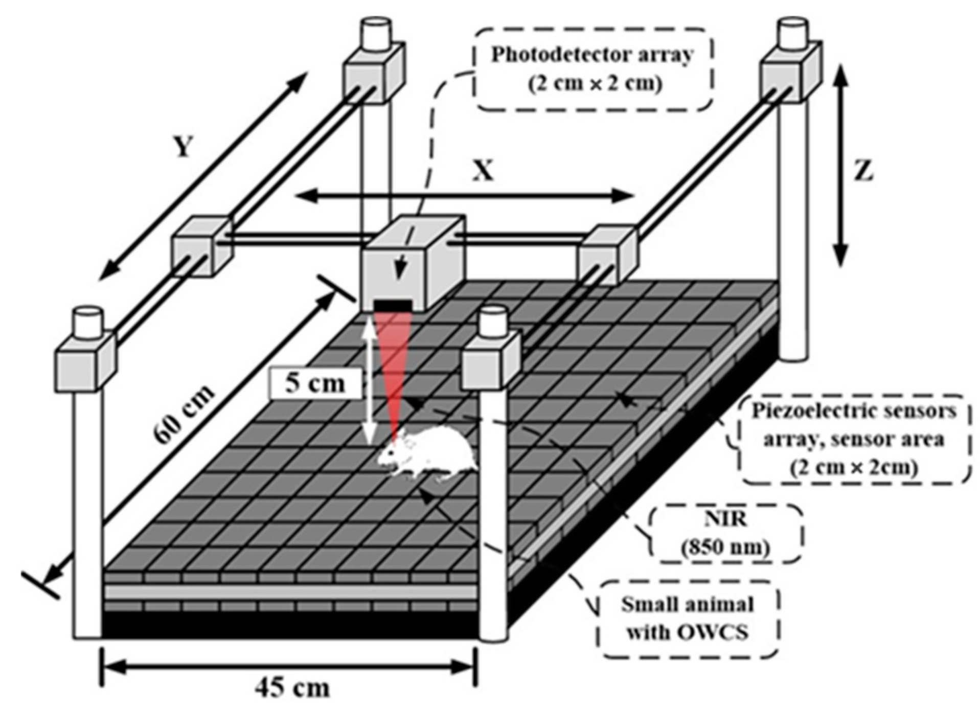 Sensors 25 00138 g002
