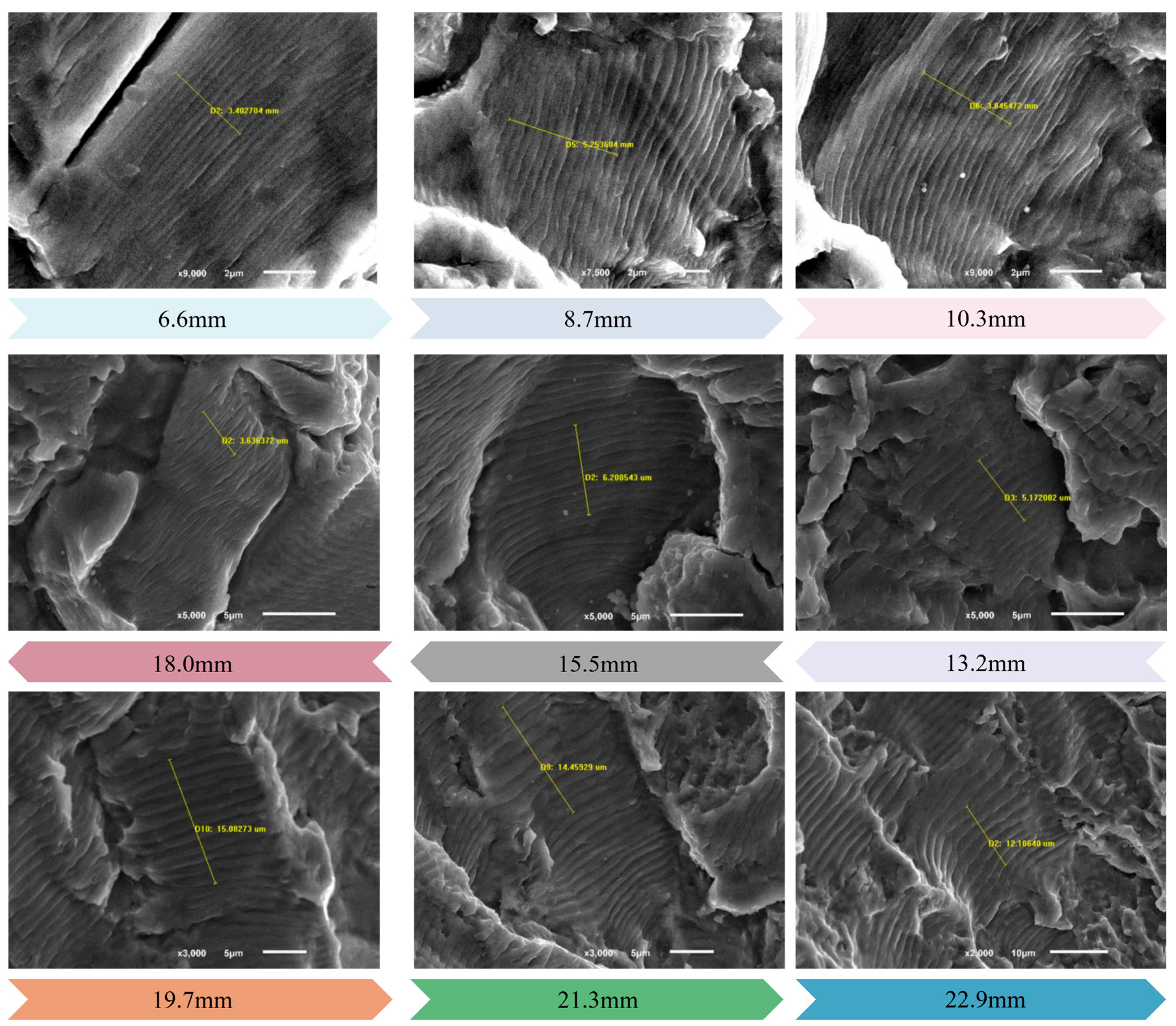 Sensors 25 00150 g017