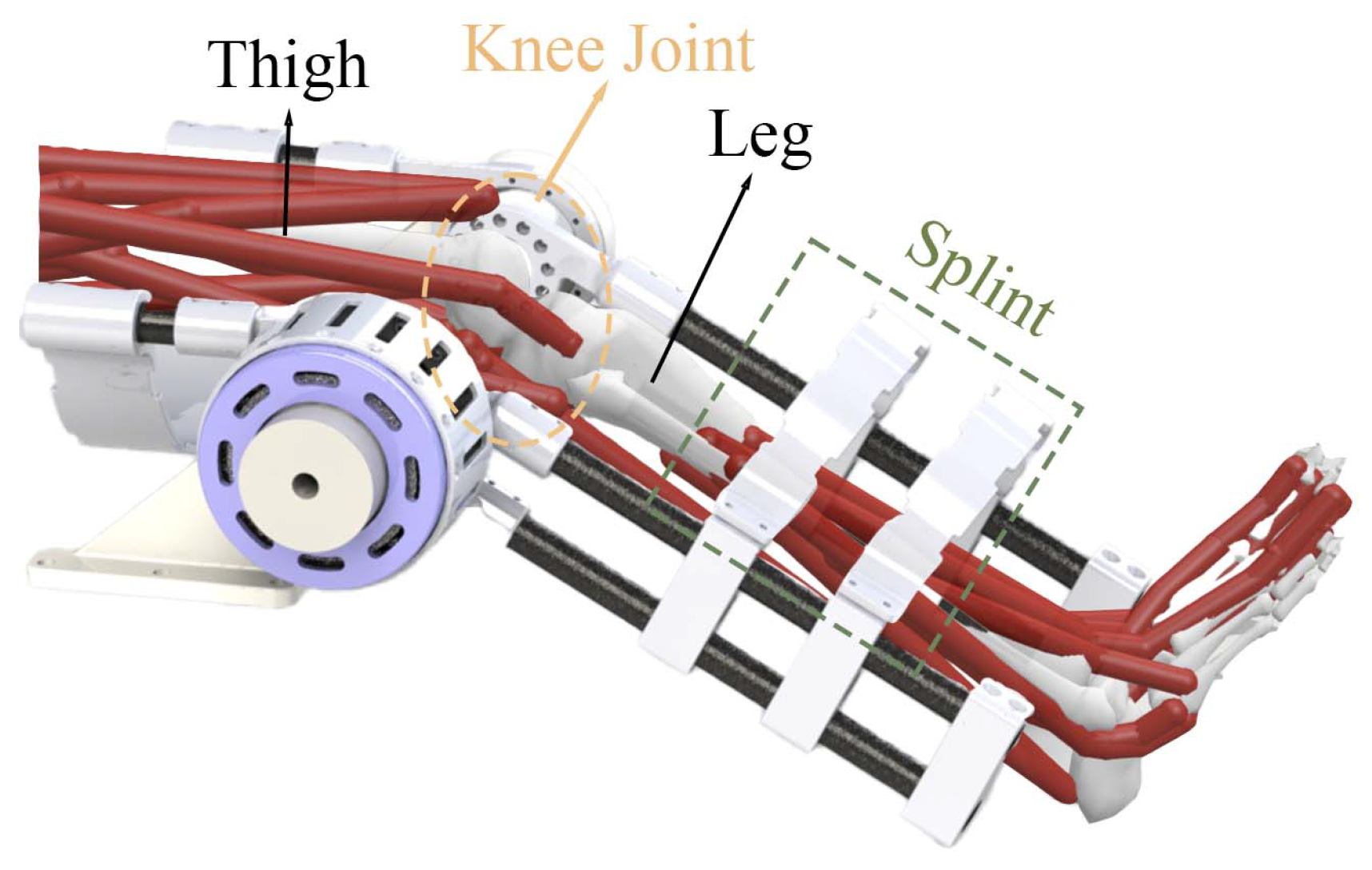 Sensors 25 00153 g005