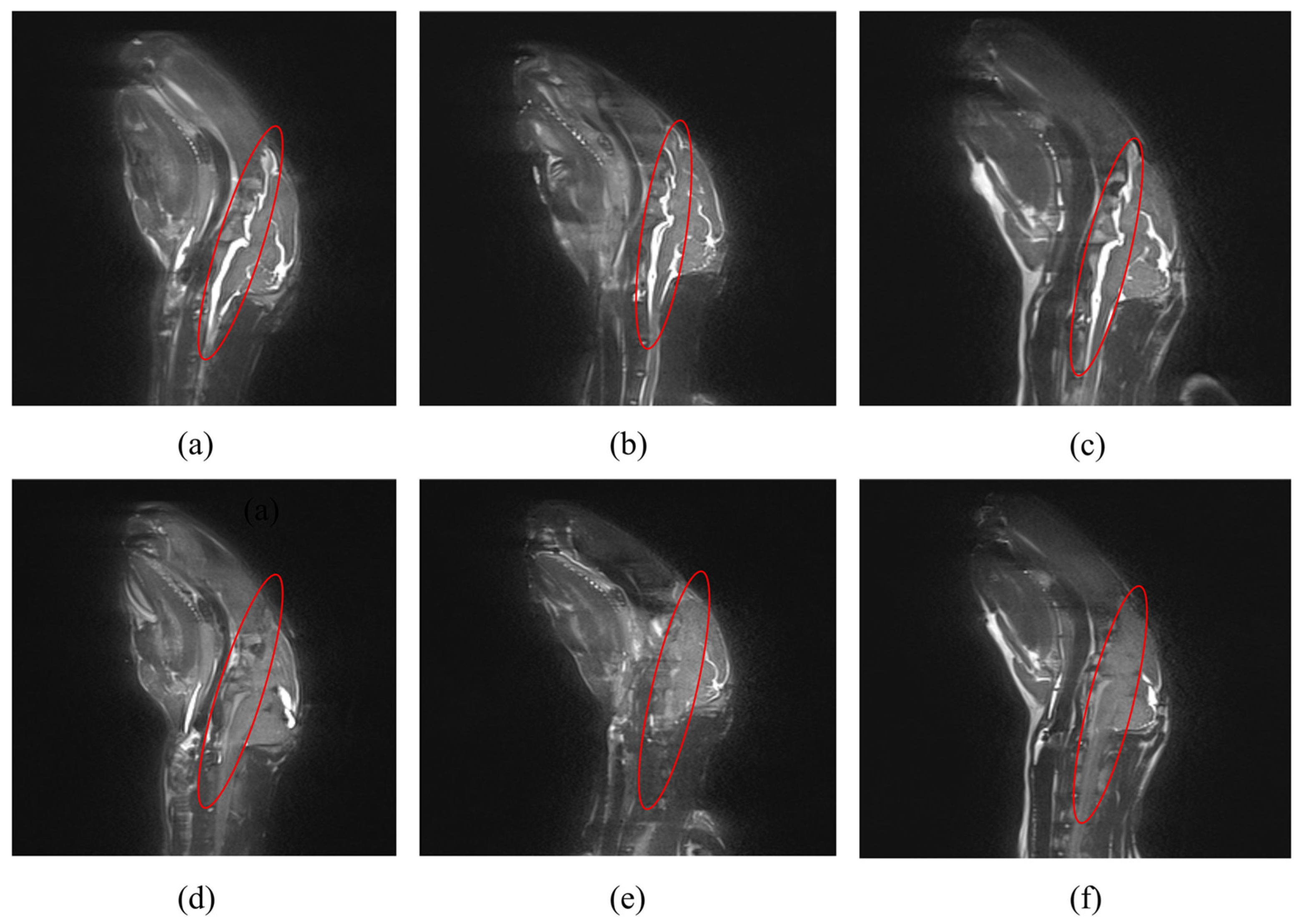 Sensors 25 00157 g007