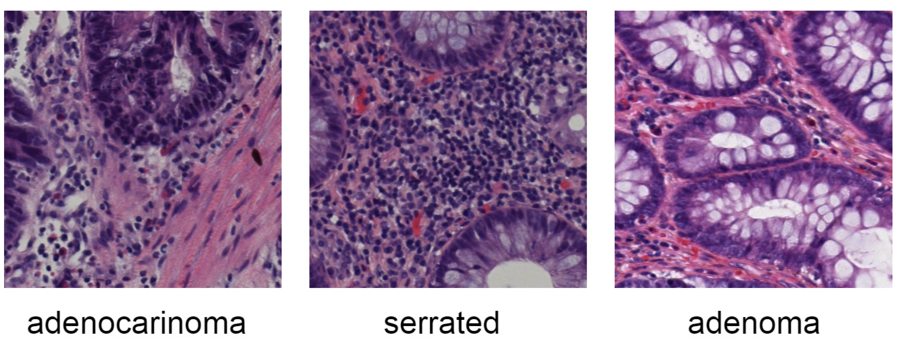 Sensors 25 00163 g001