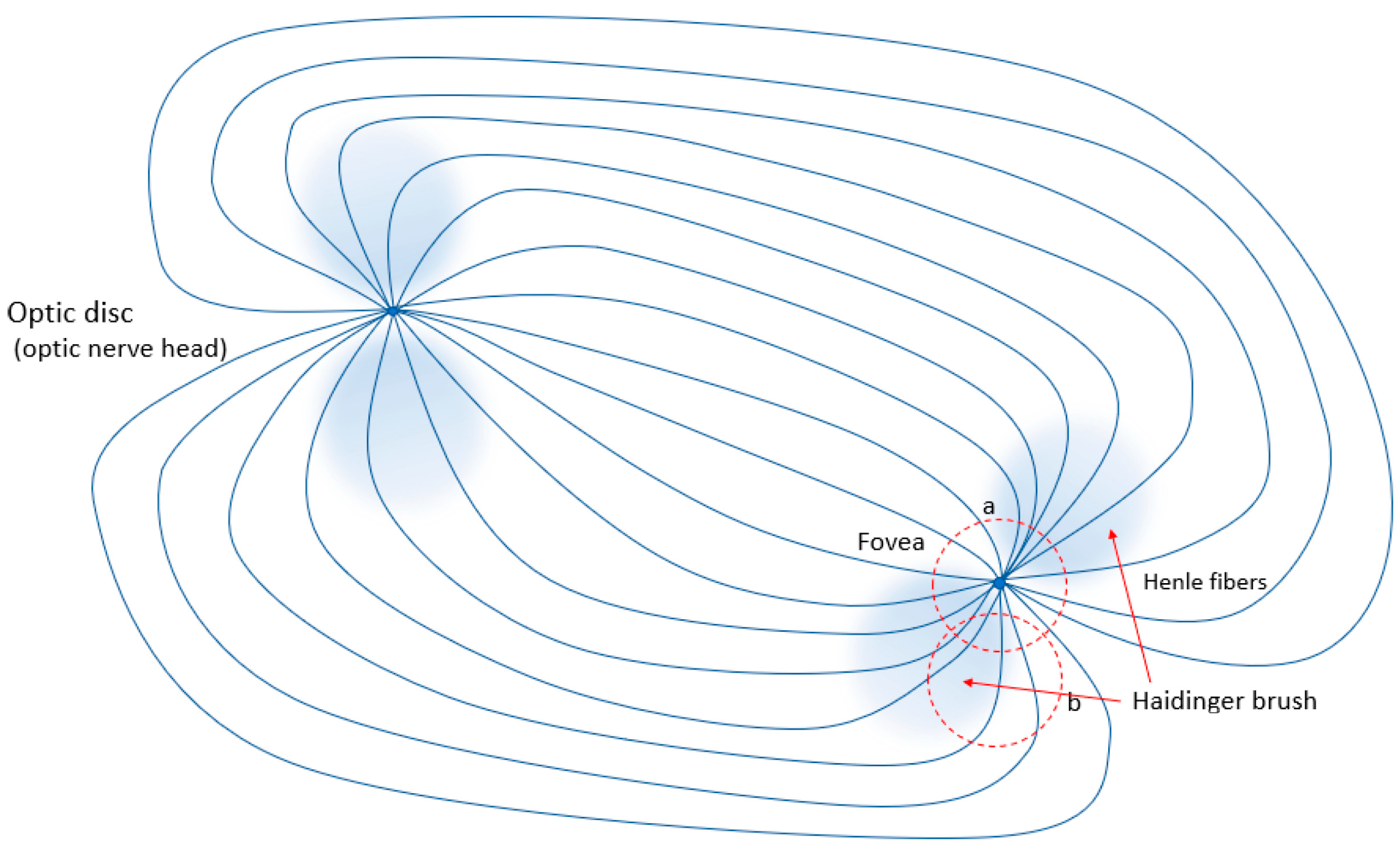 Sensors 25 00165 g001 Sensors 25 00165 g001