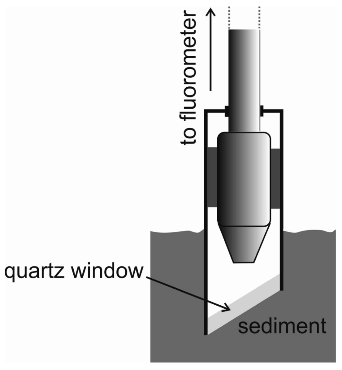Sensors 25 00173 g006