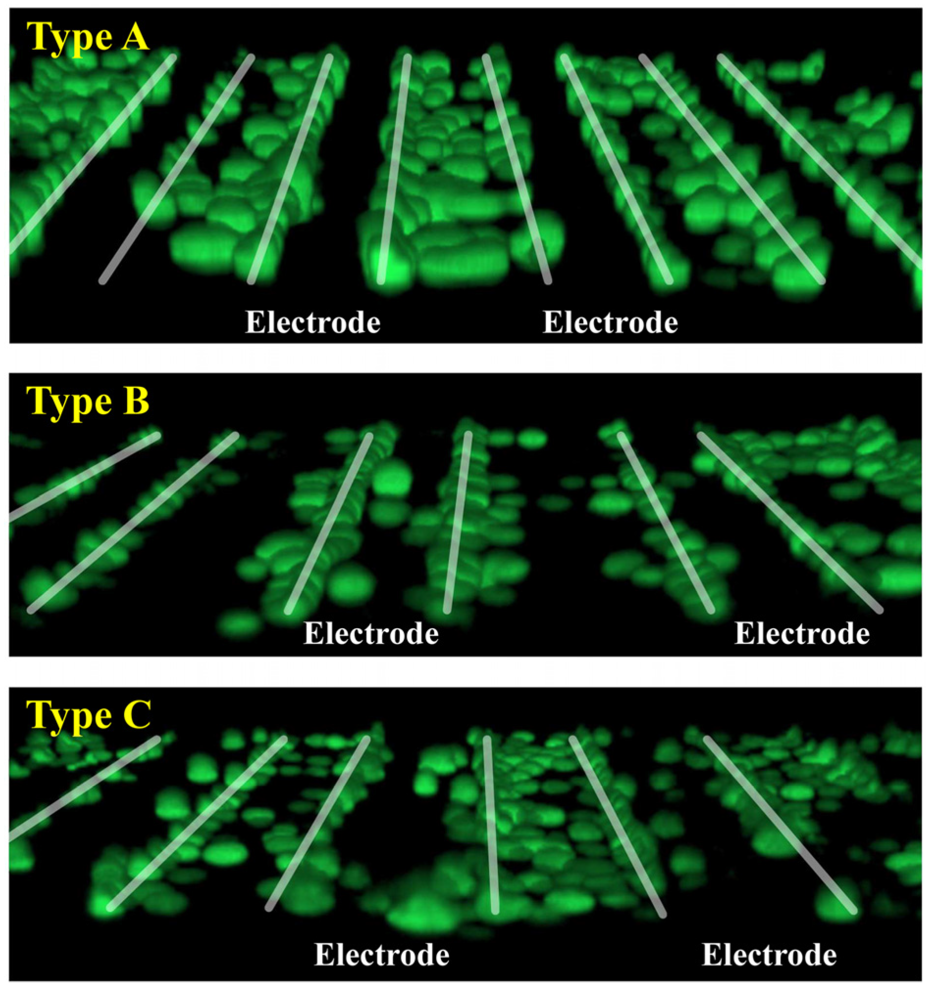 Sensors 25 00185 g009