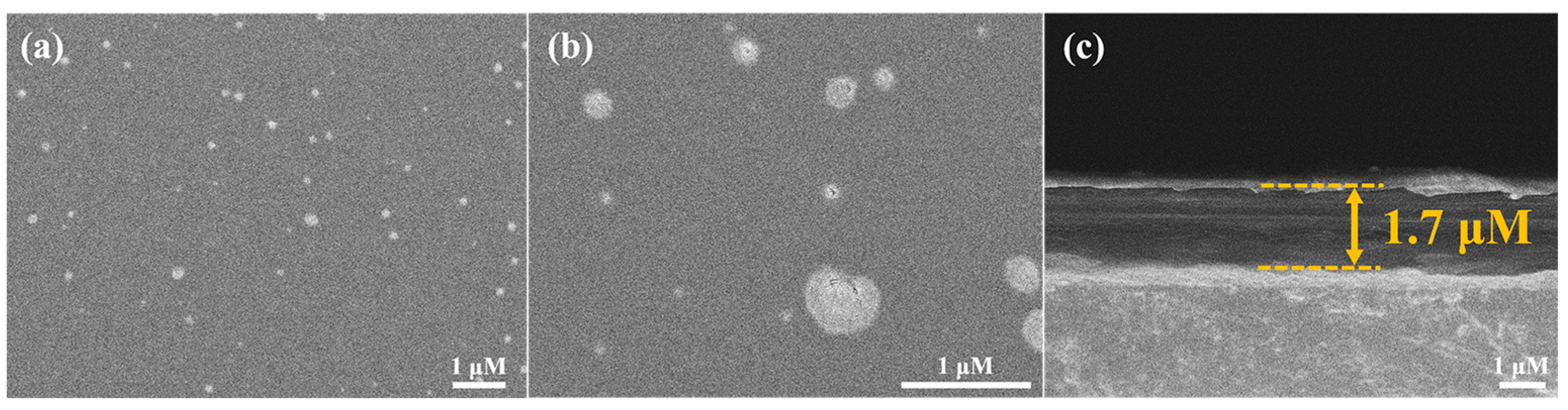 Sensors 25 00186 g001