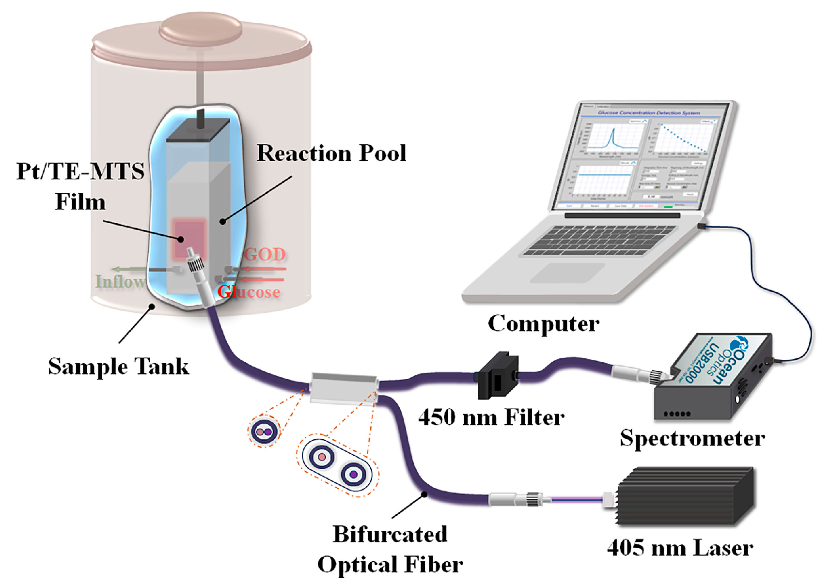 Sensors 25 00186 g005