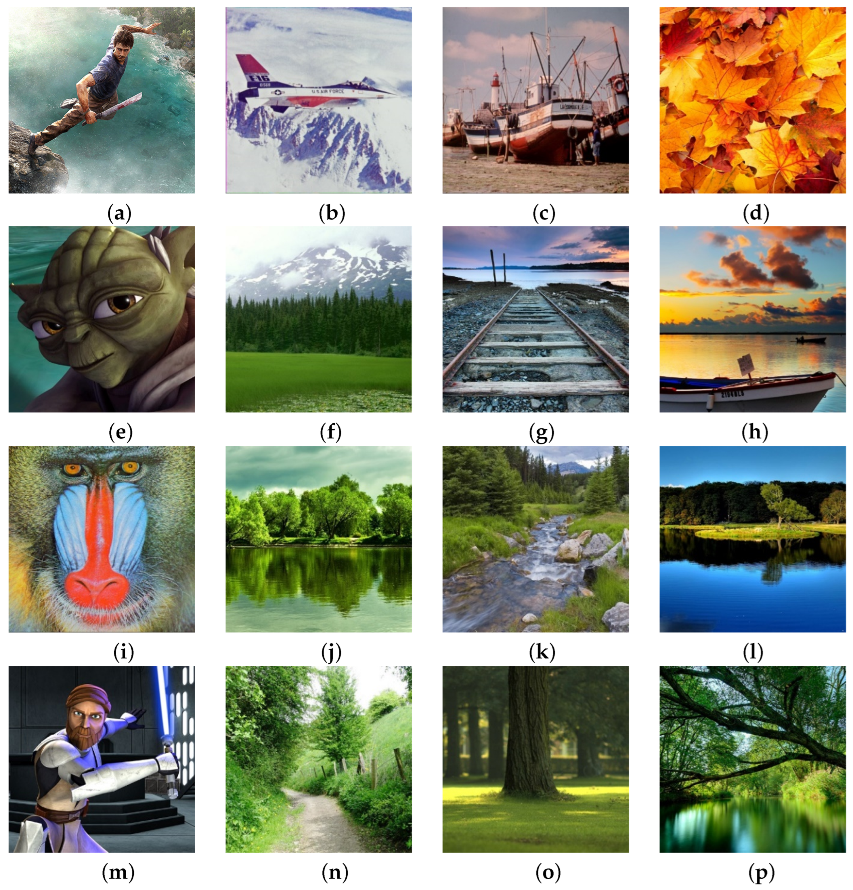 Sensors 25 00210 g001