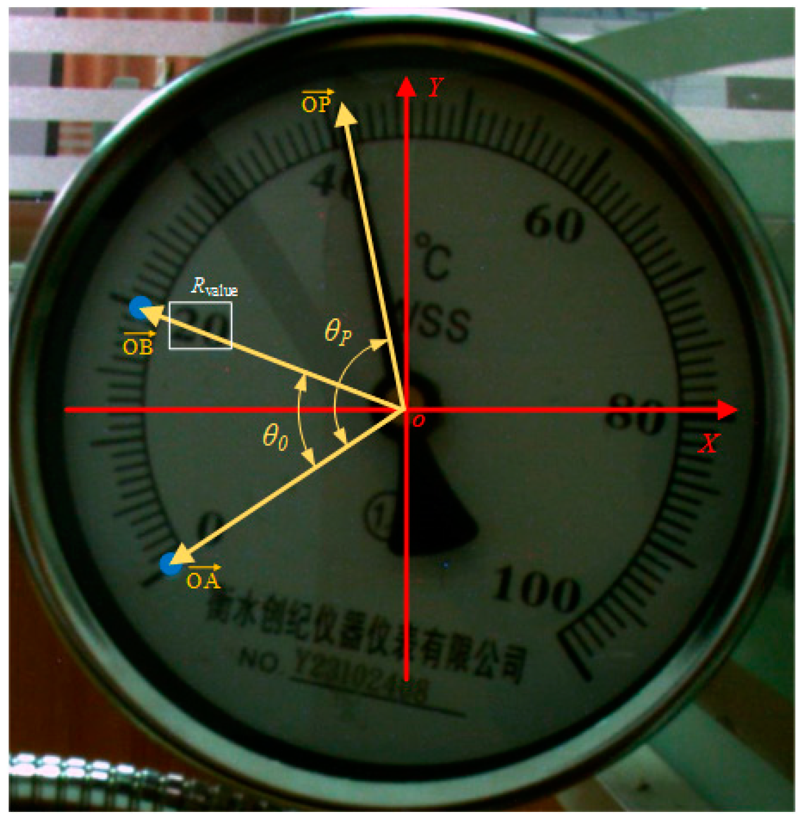 Sensors 25 00244 g007