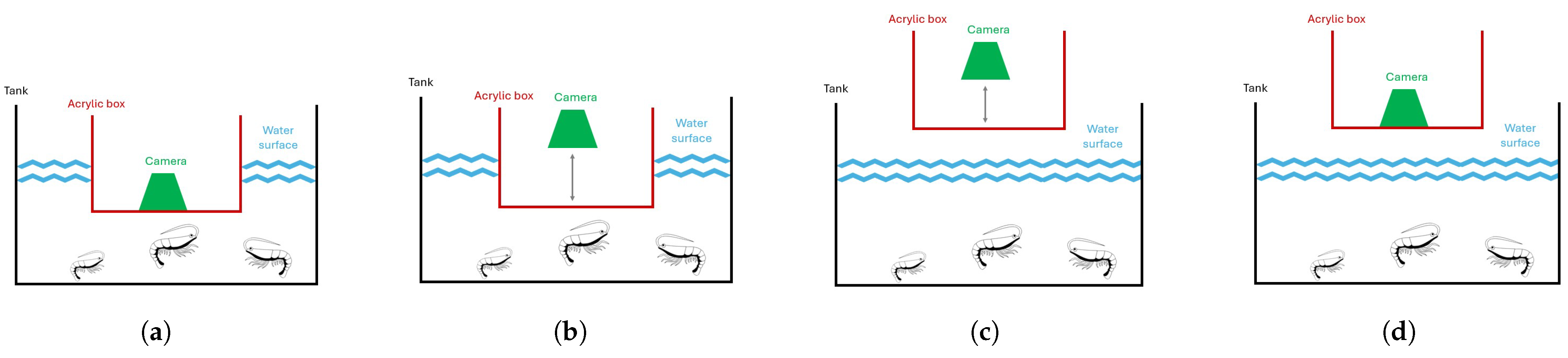 Sensors 25 00248 g001