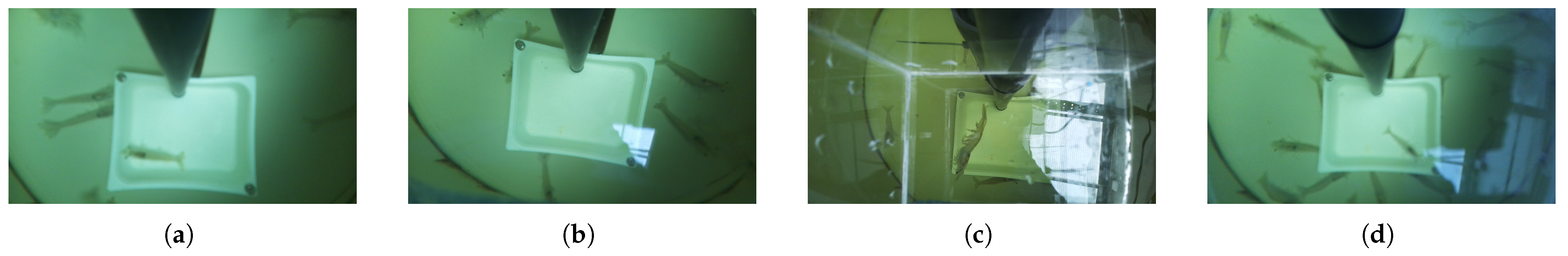 Sensors 25 00248 g002