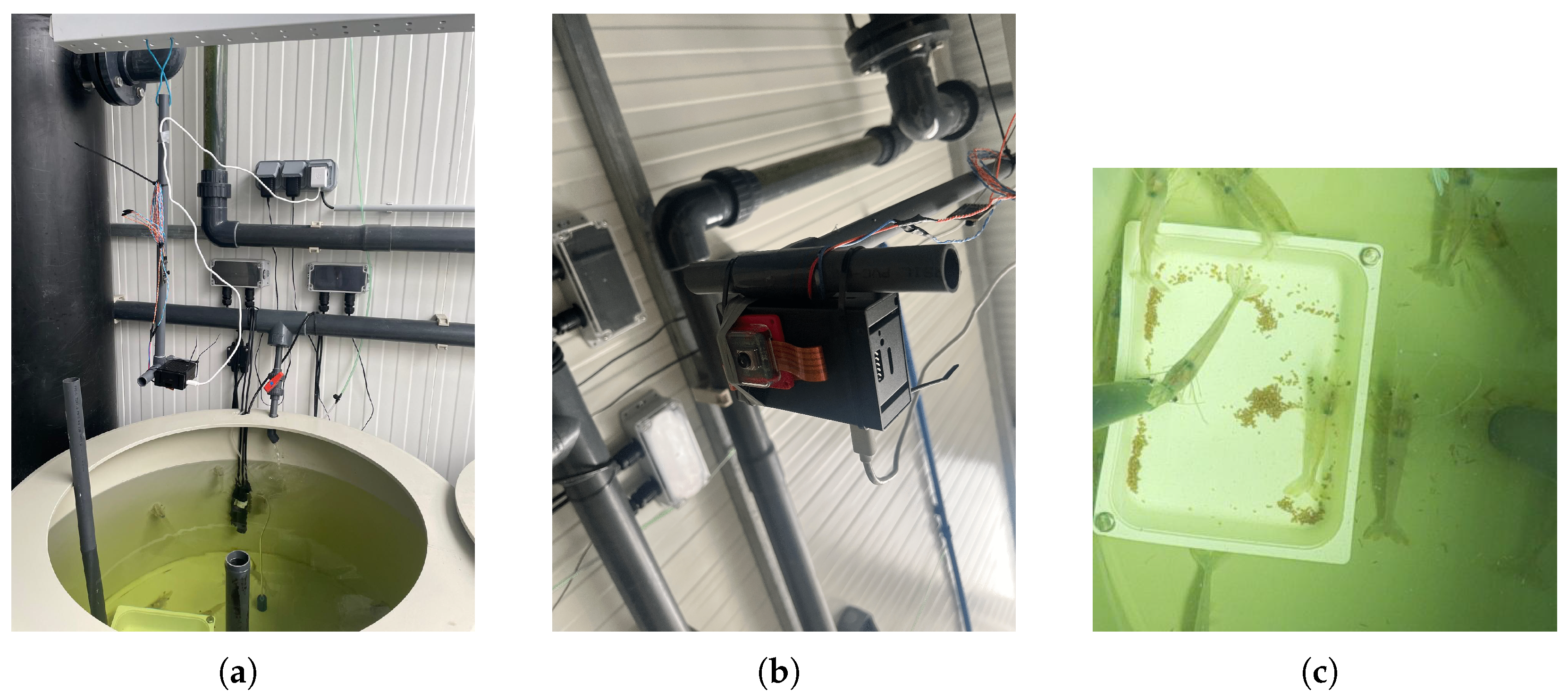 Sensors 25 00248 g003