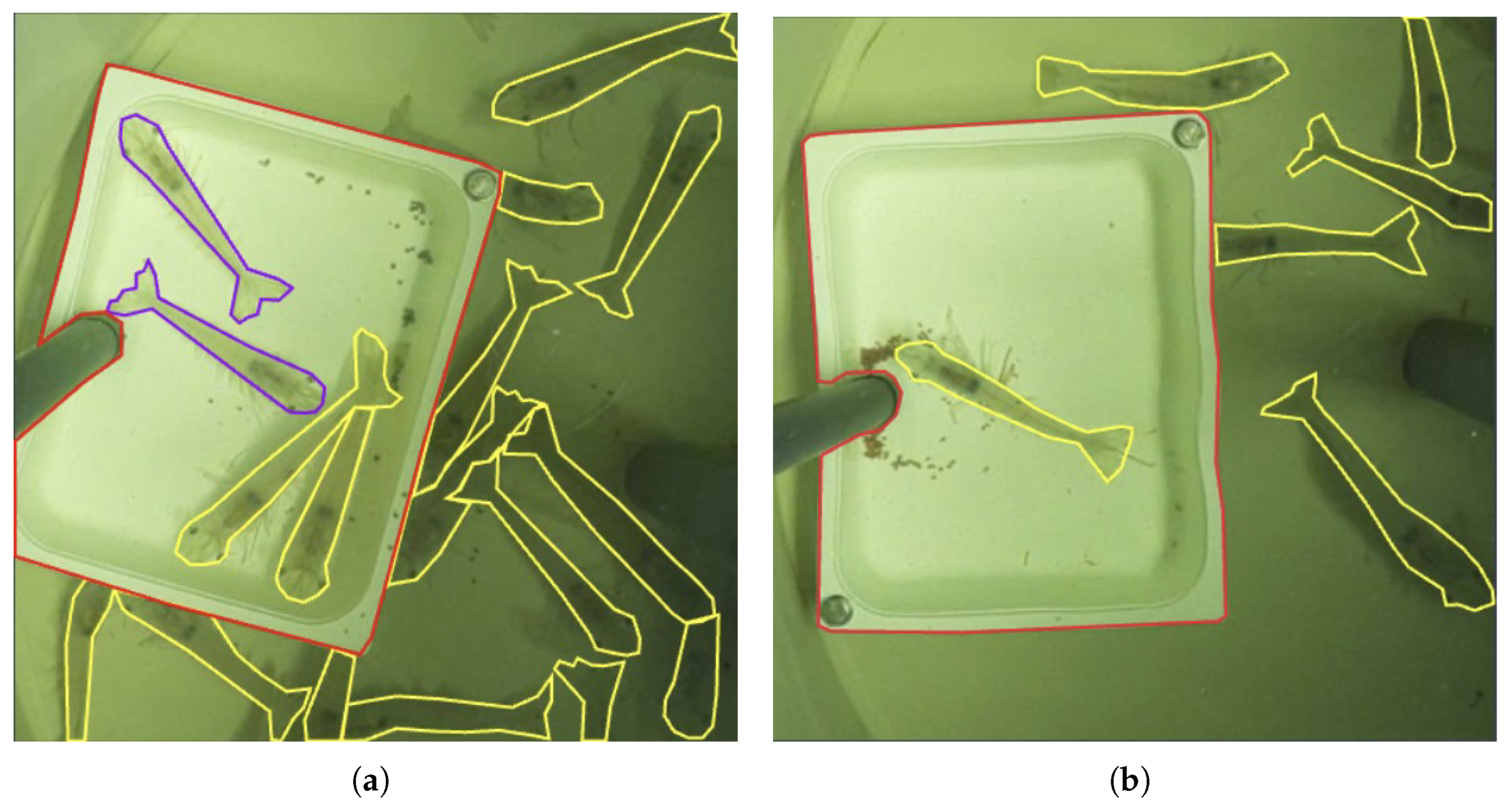 Sensors 25 00248 g005