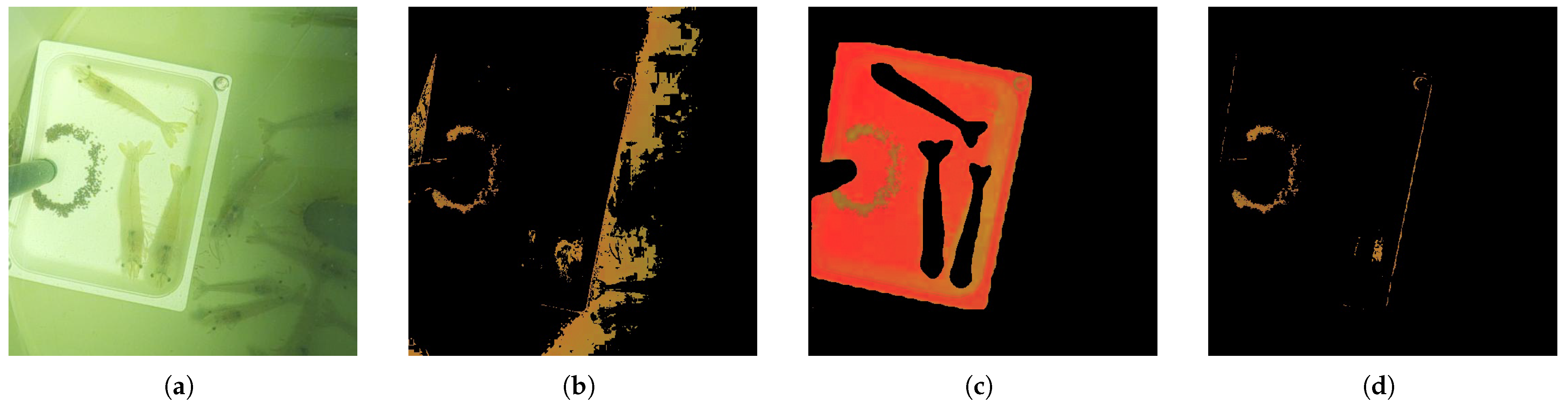 Sensors 25 00248 g006