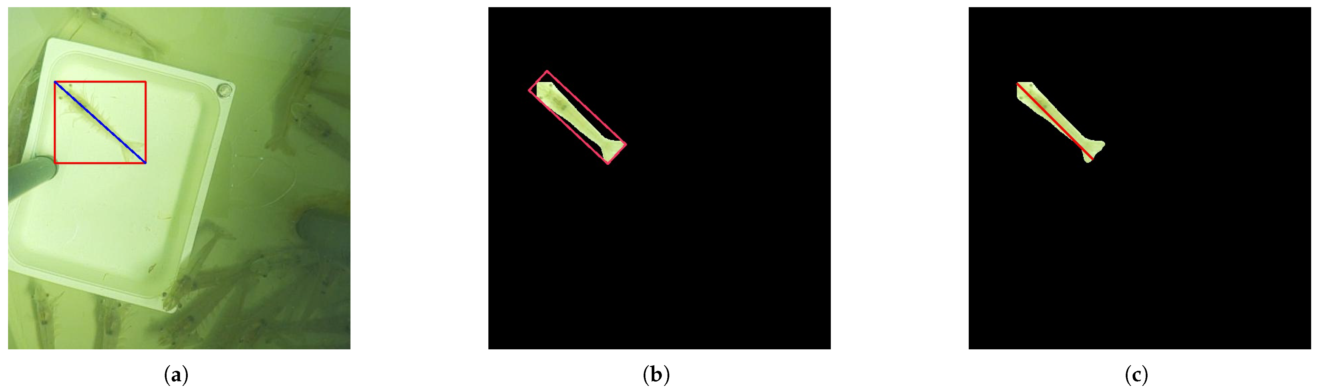 Sensors 25 00248 g007