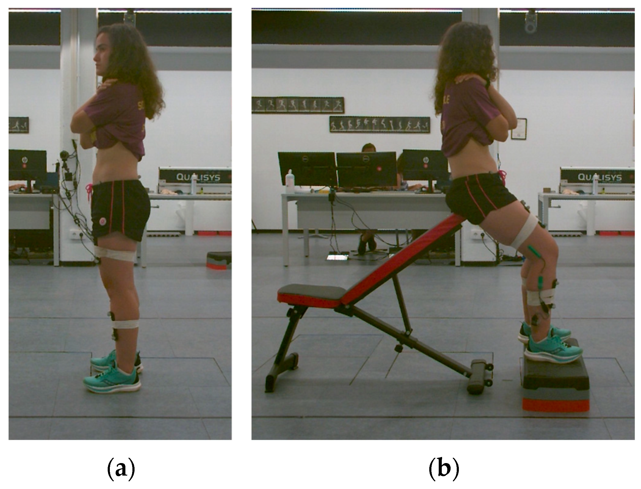 Sensors 25 00250 g001
