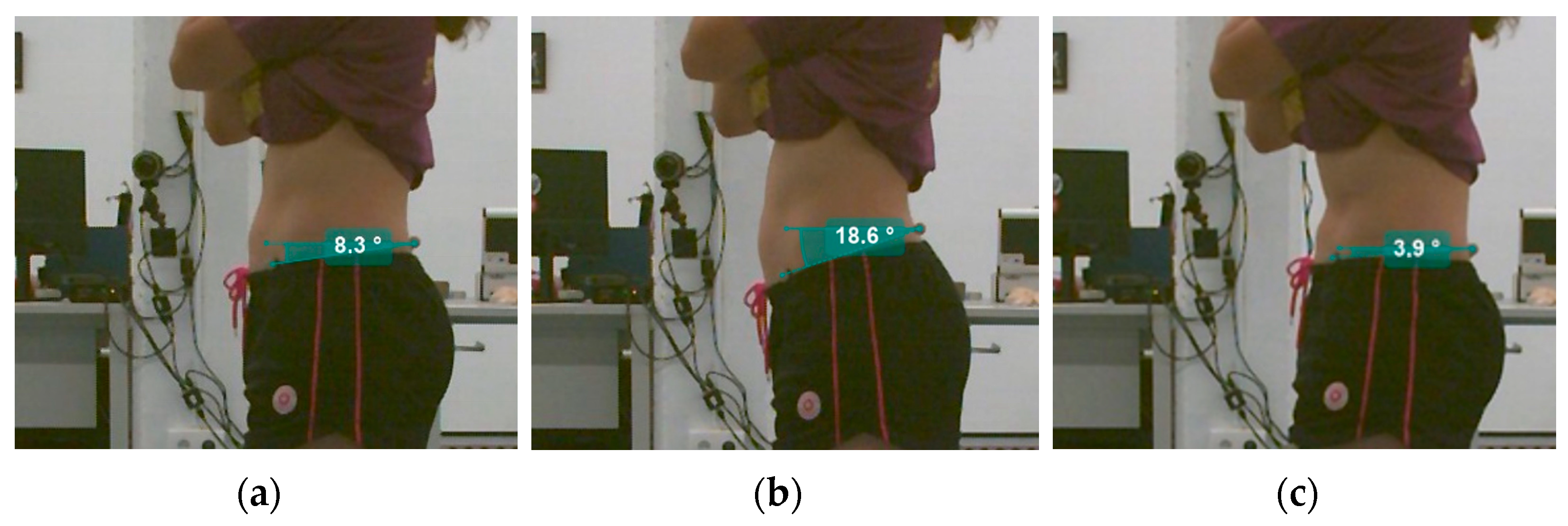 Sensors 25 00250 g002