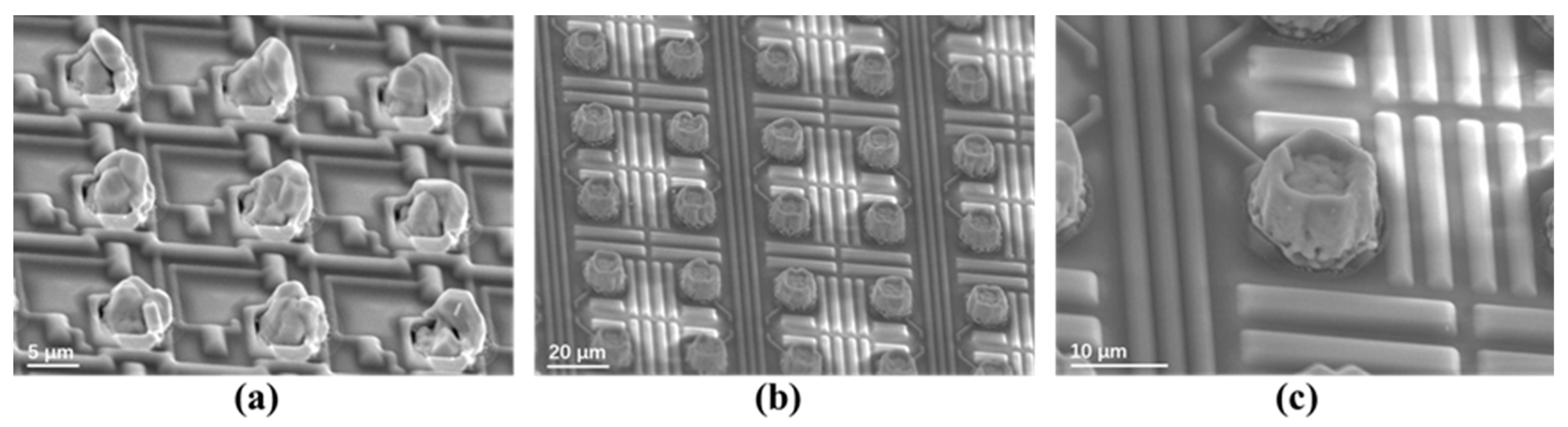 Sensors 25 00263 g007 Sensors 25 00263 g007