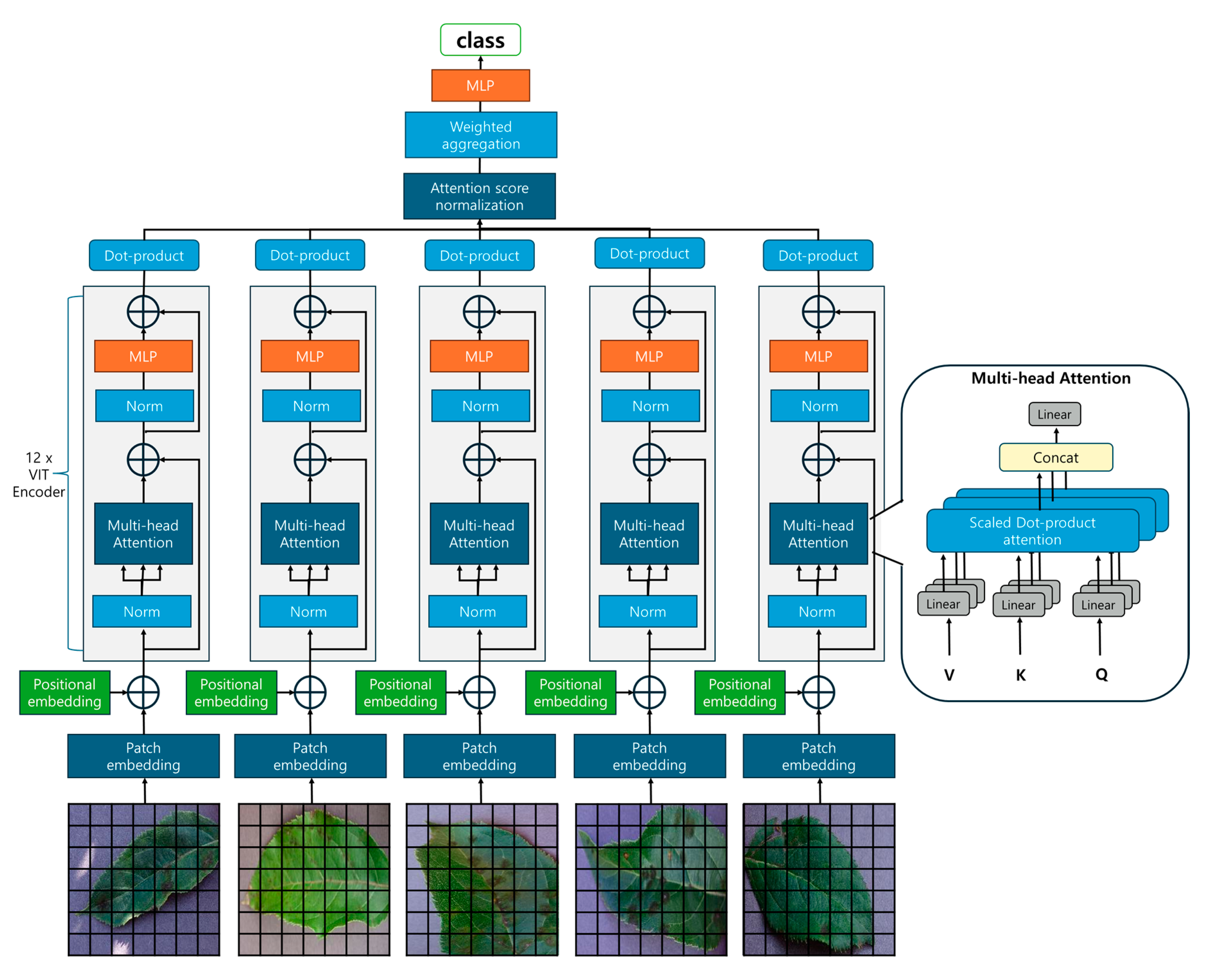 Sensors 25 00270 g001