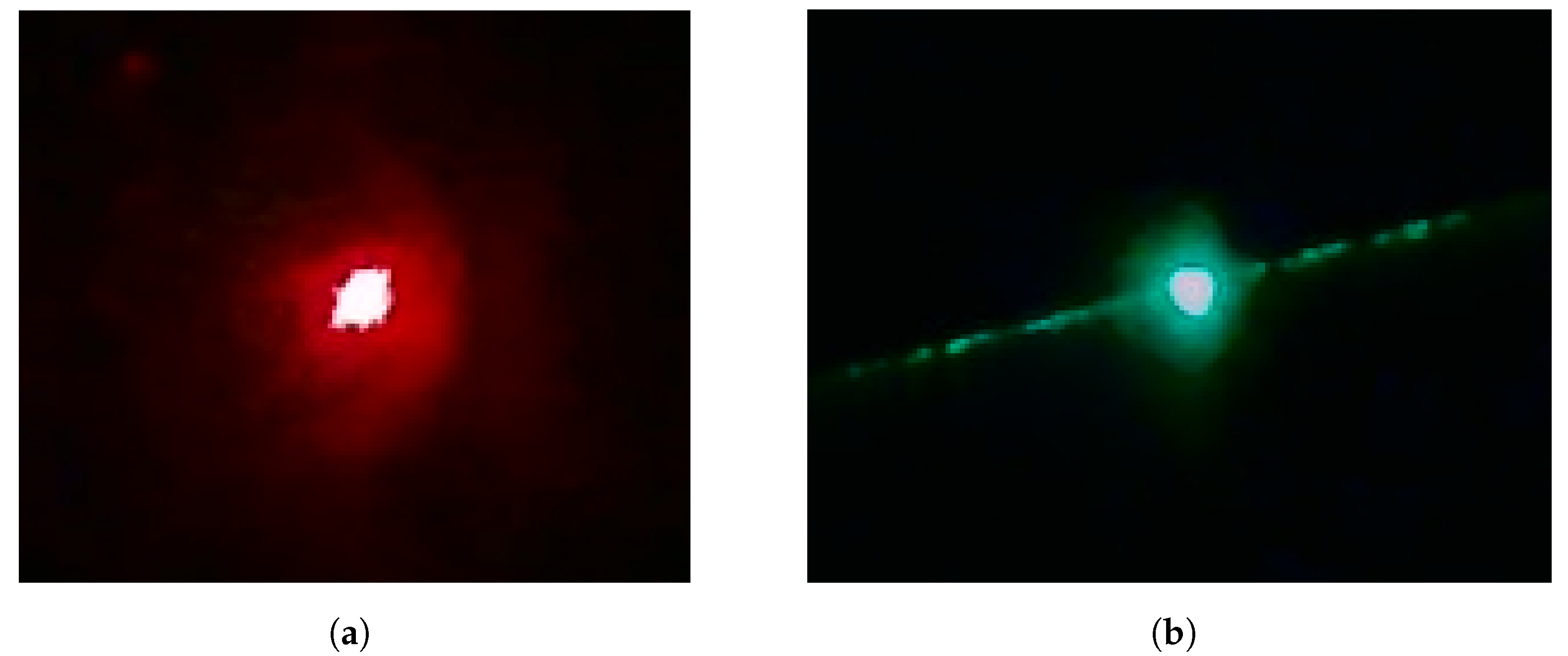 Sensors 25 00298 g002