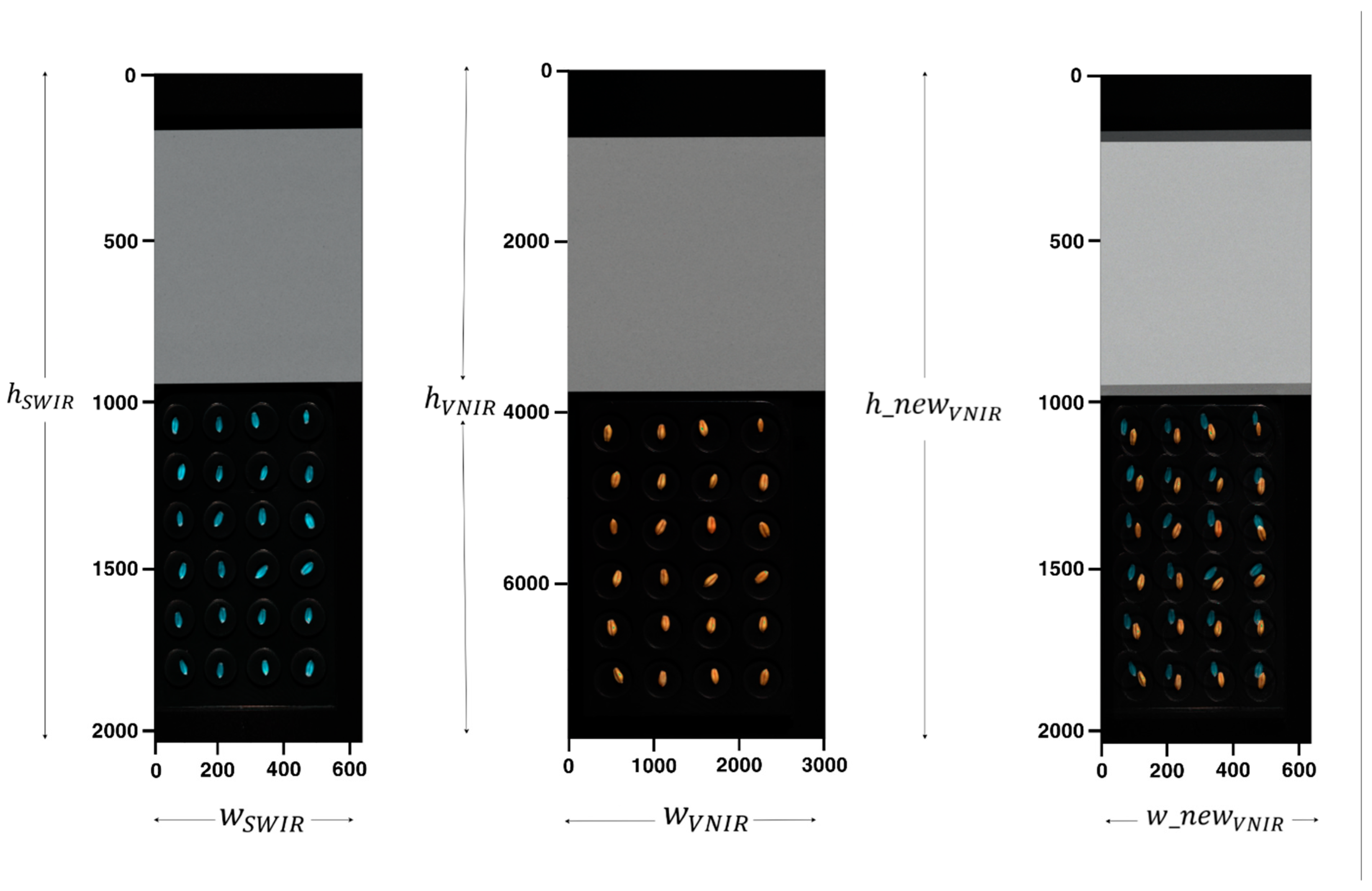 Sensors 25 00303 g004