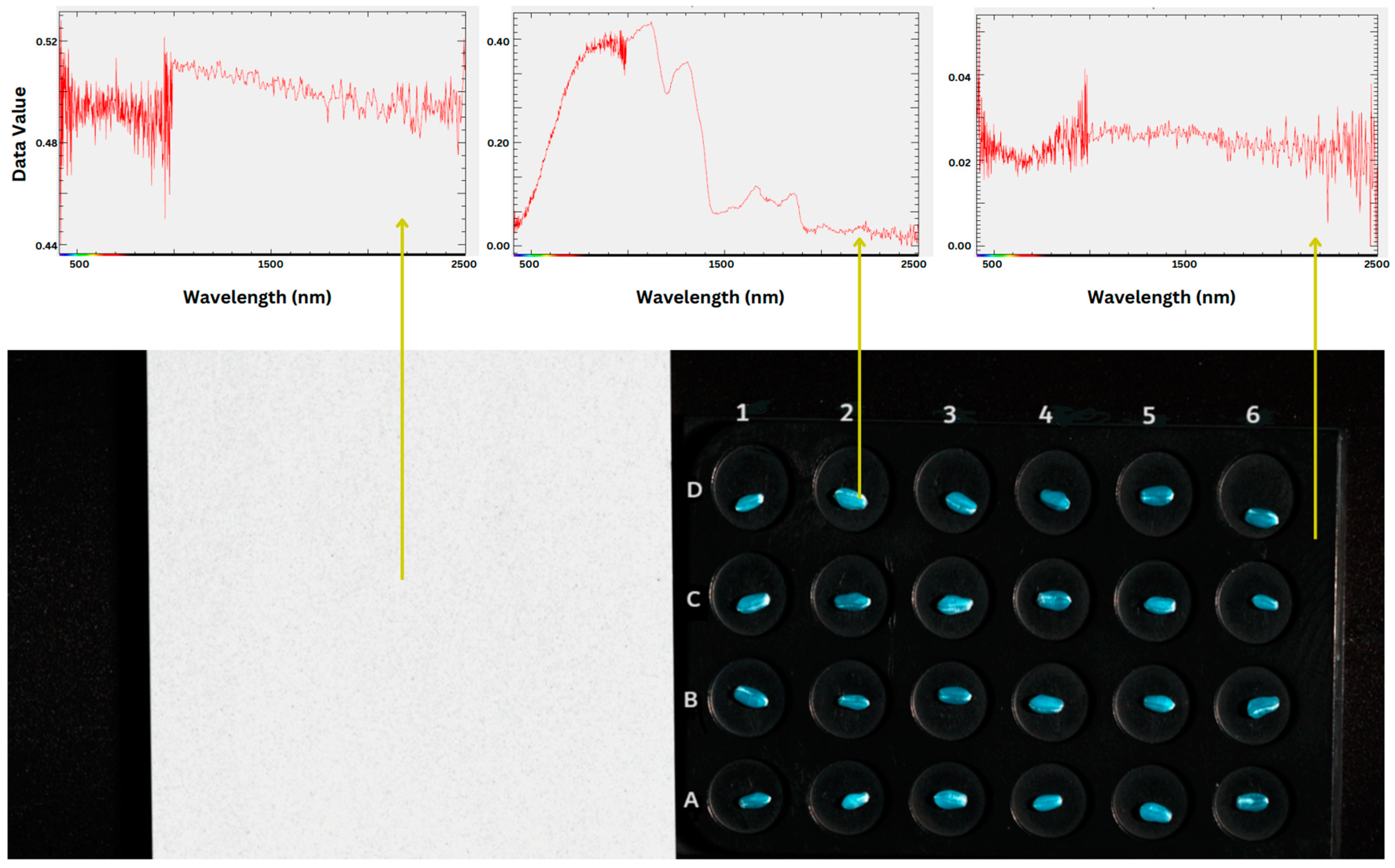 Sensors 25 00303 g006