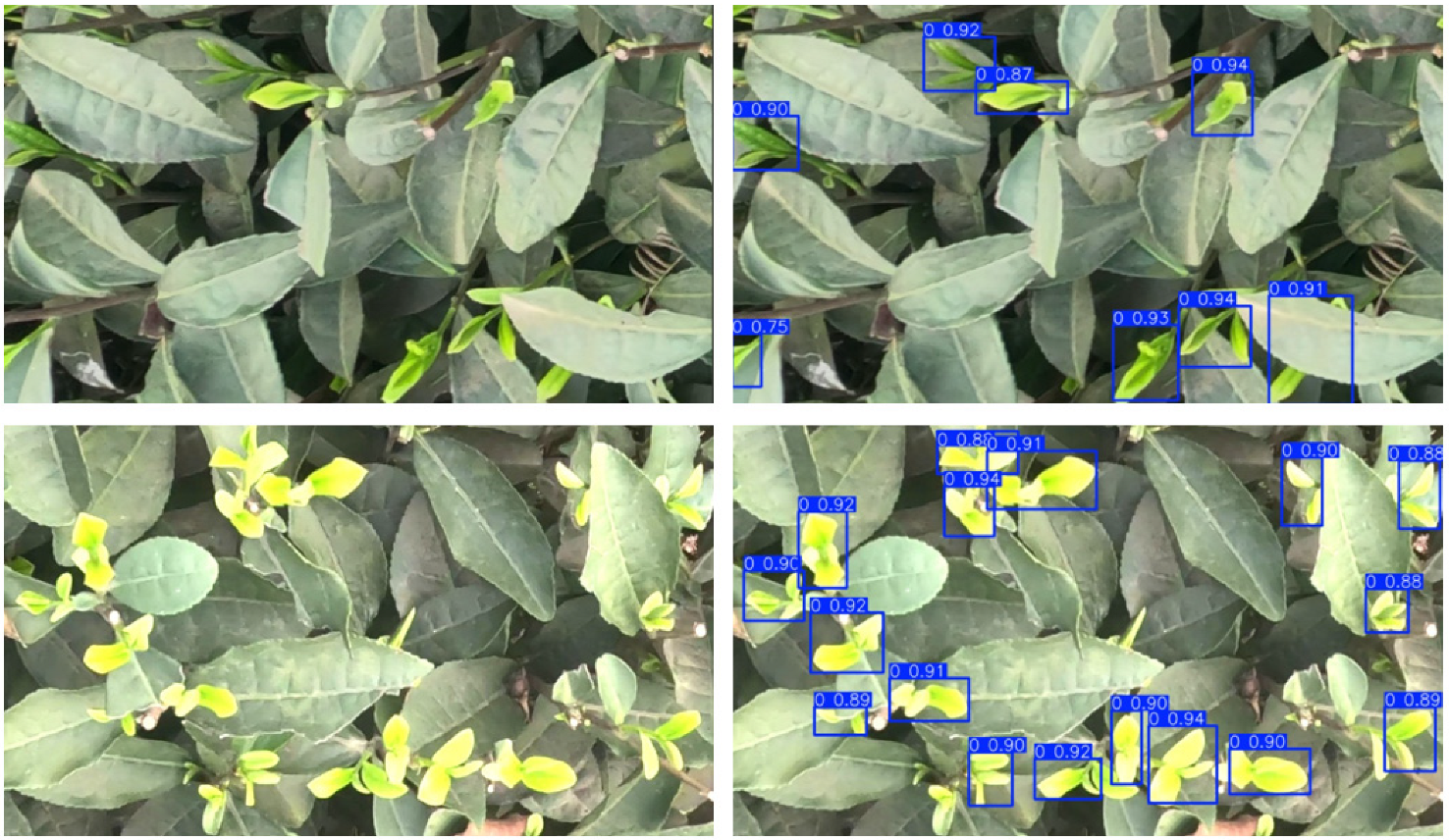 Sensors 25 00348 g009