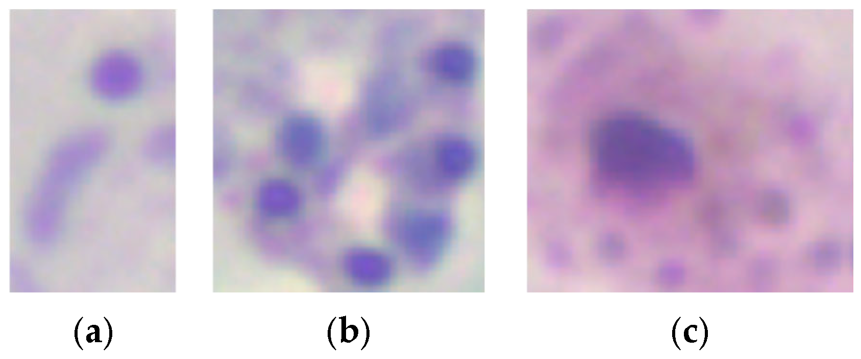 Sensors 25 00390 g003