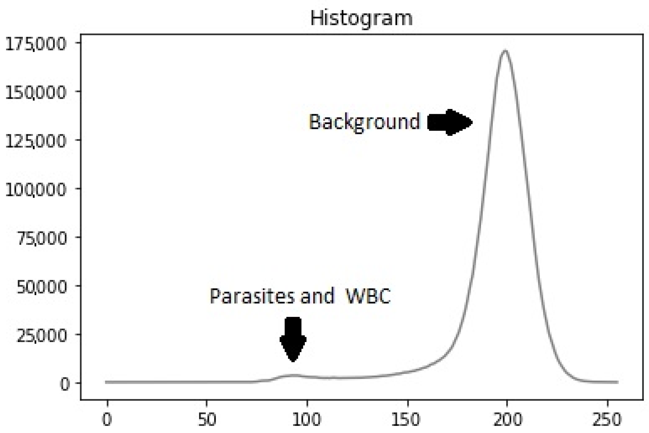 Sensors 25 00390 g004