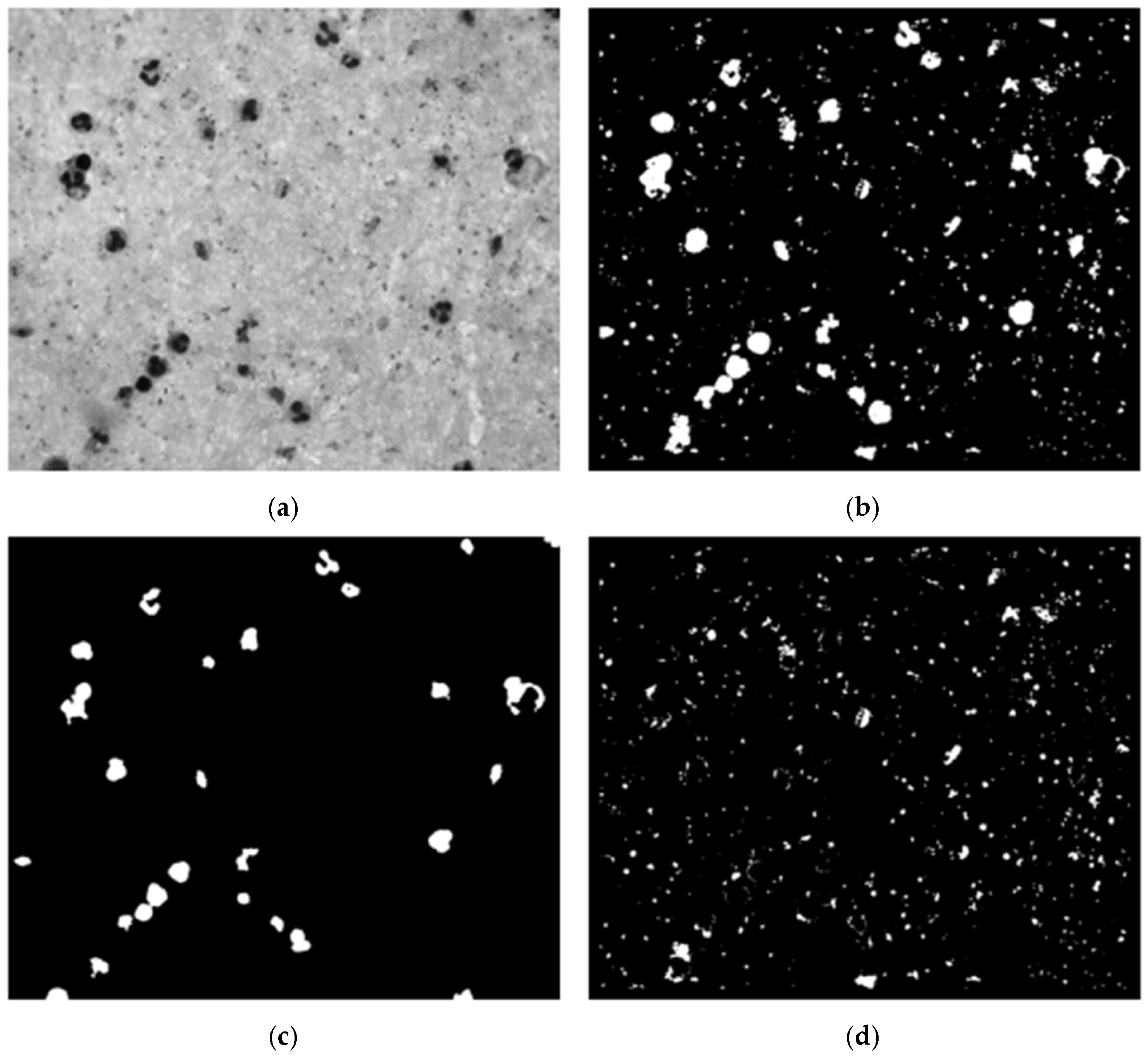 Sensors 25 00390 g005