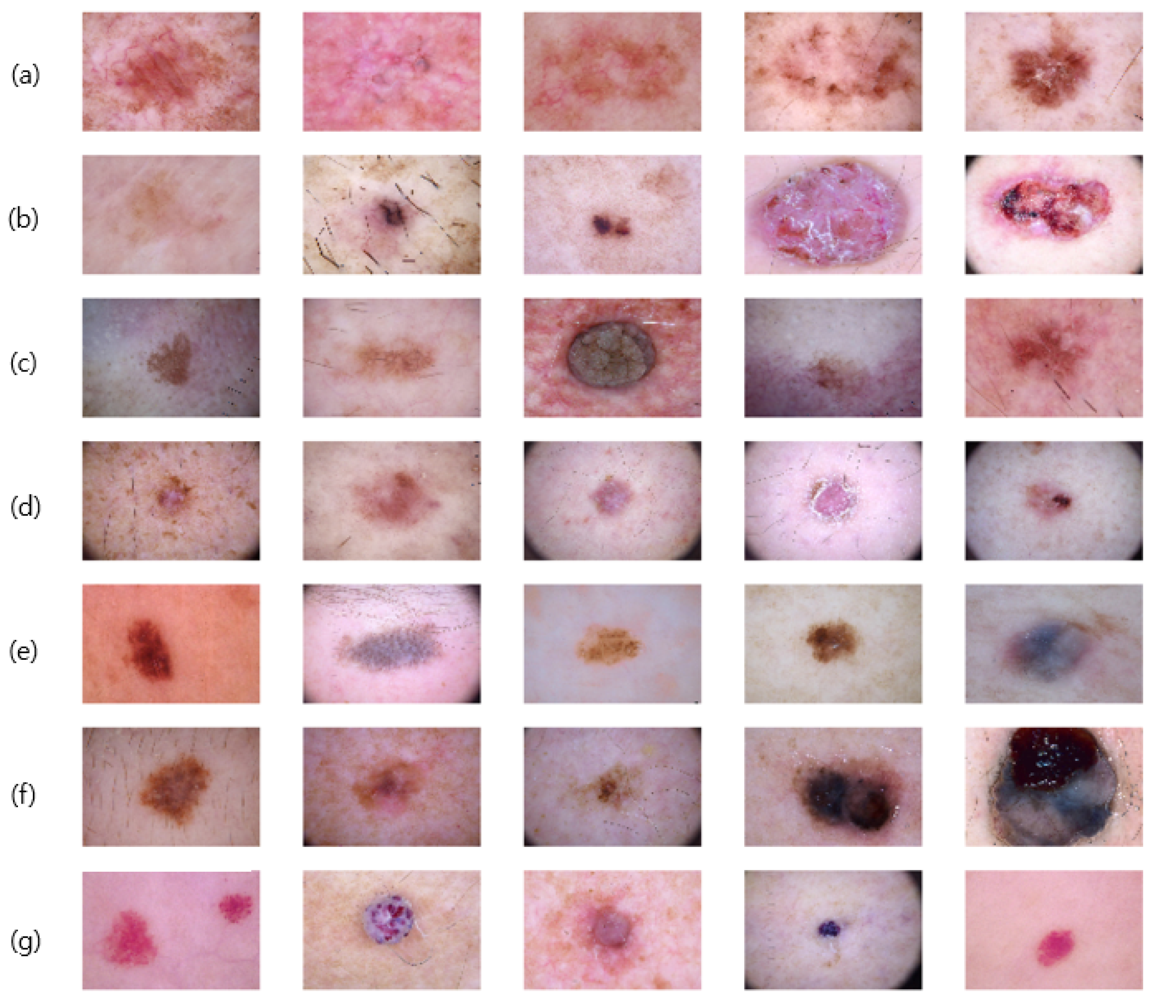 Sensors 25 00394 g001