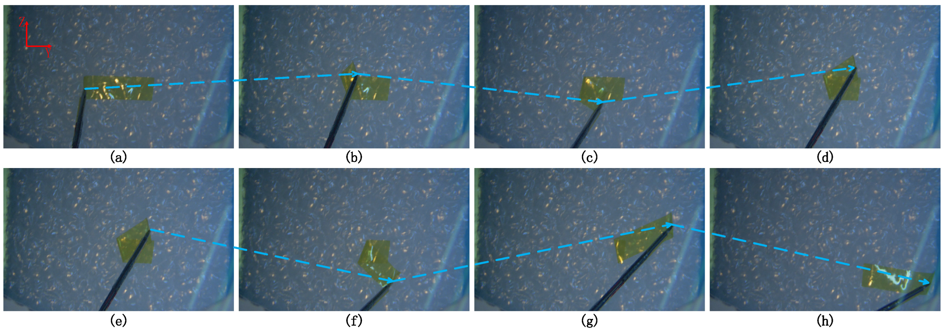 Sensors 25 00405 g016