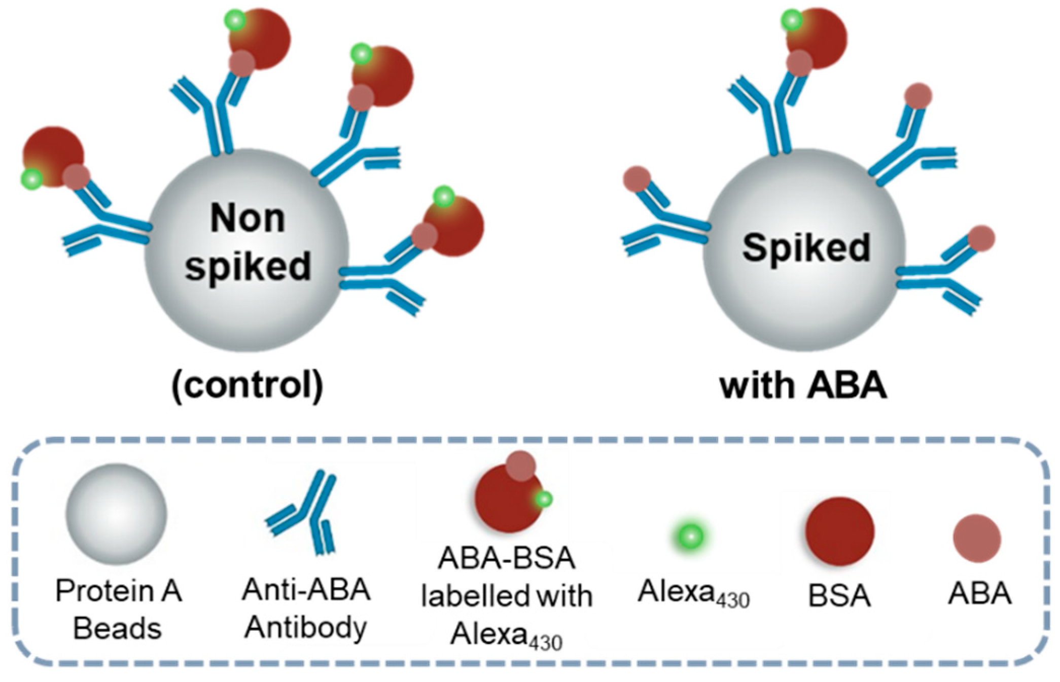 Sensors 25 00411 g006