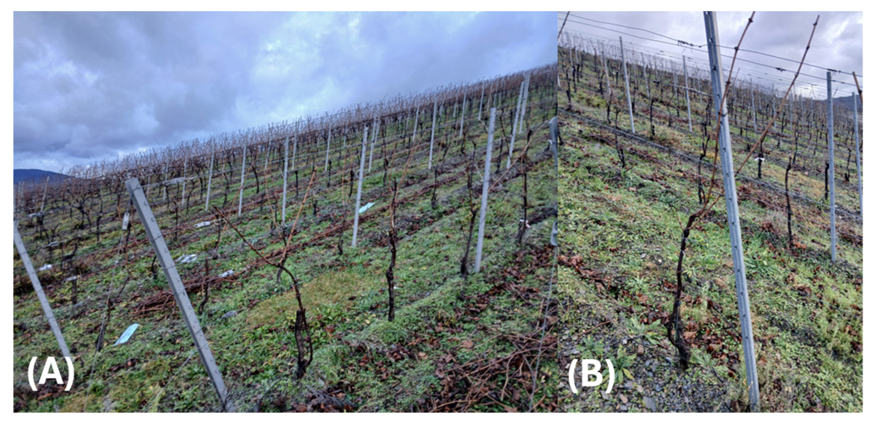 Sensors 25 00431 g002