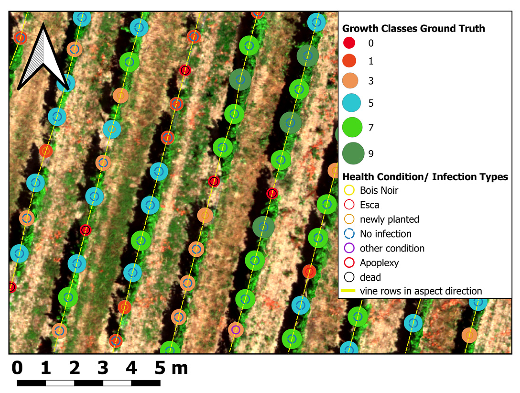 Sensors 25 00431 g004