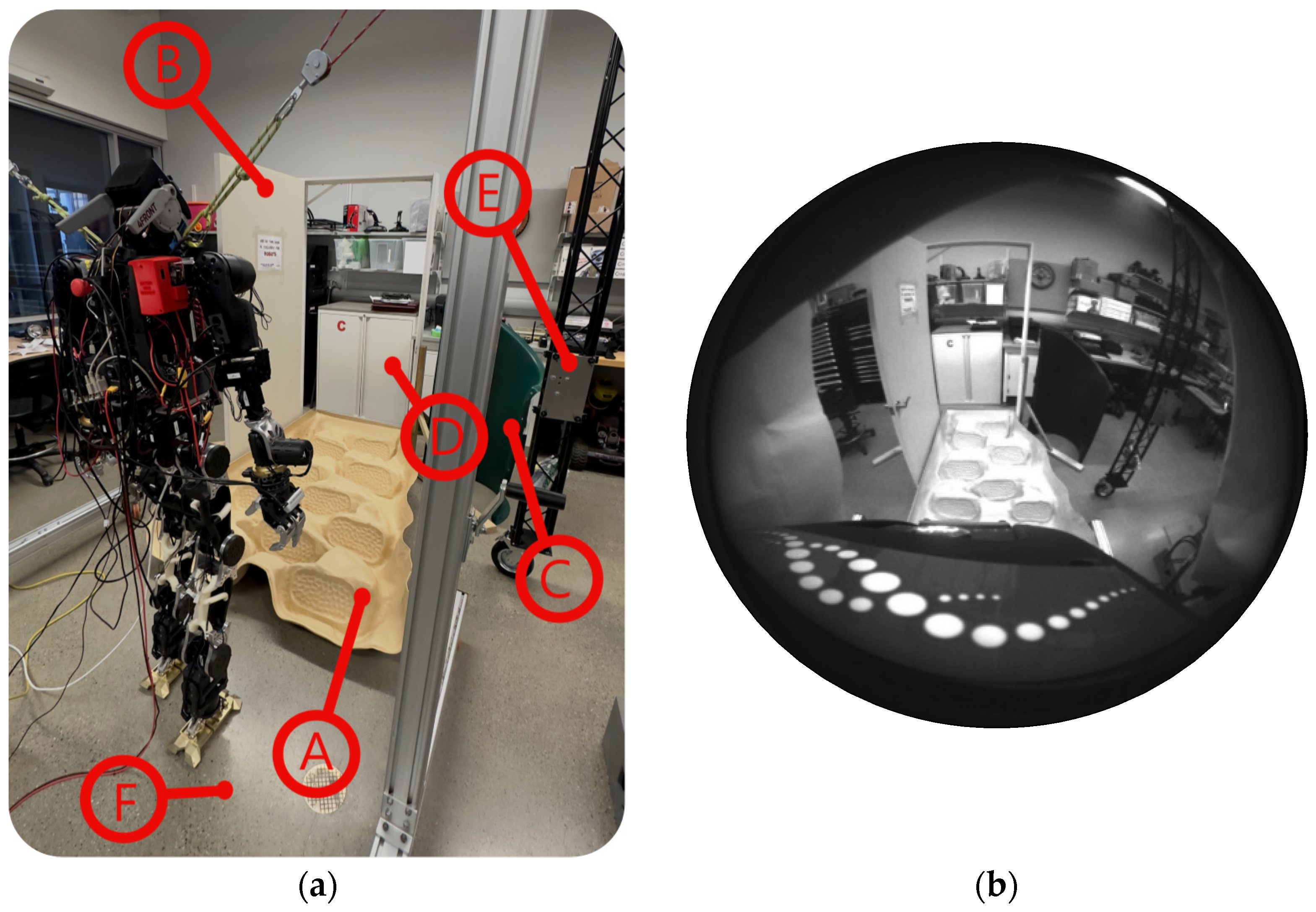 Sensors 25 00439 g007