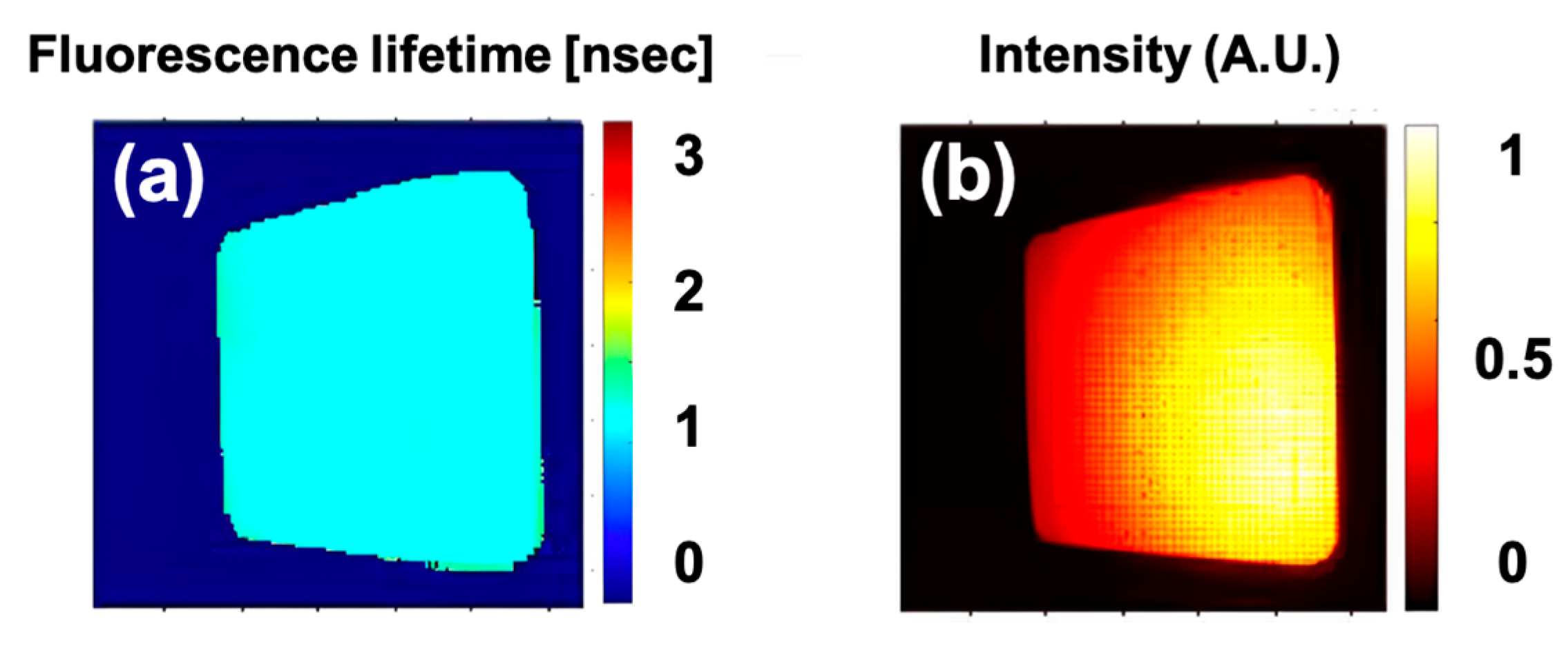 Sensors 25 00450 g009