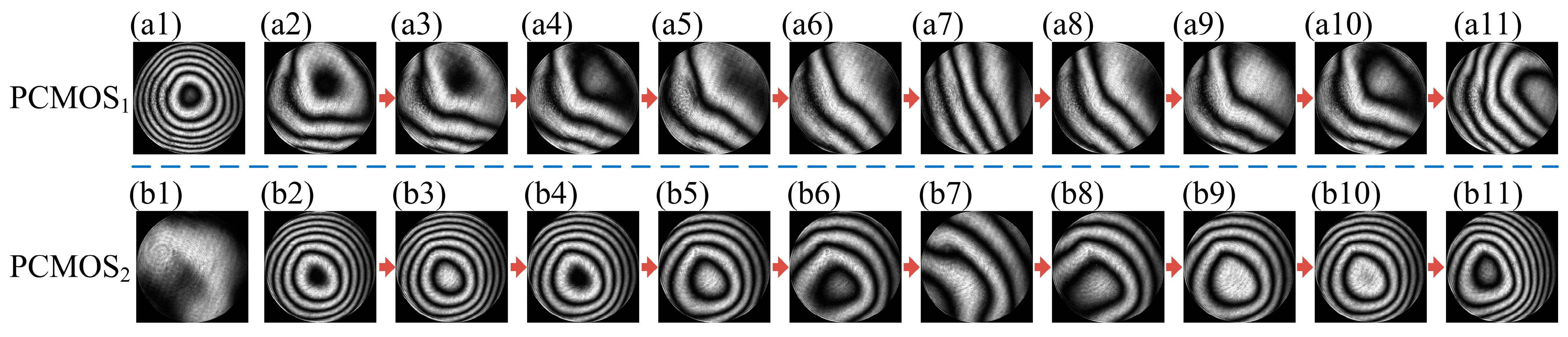 Sensors 25 00490 g012