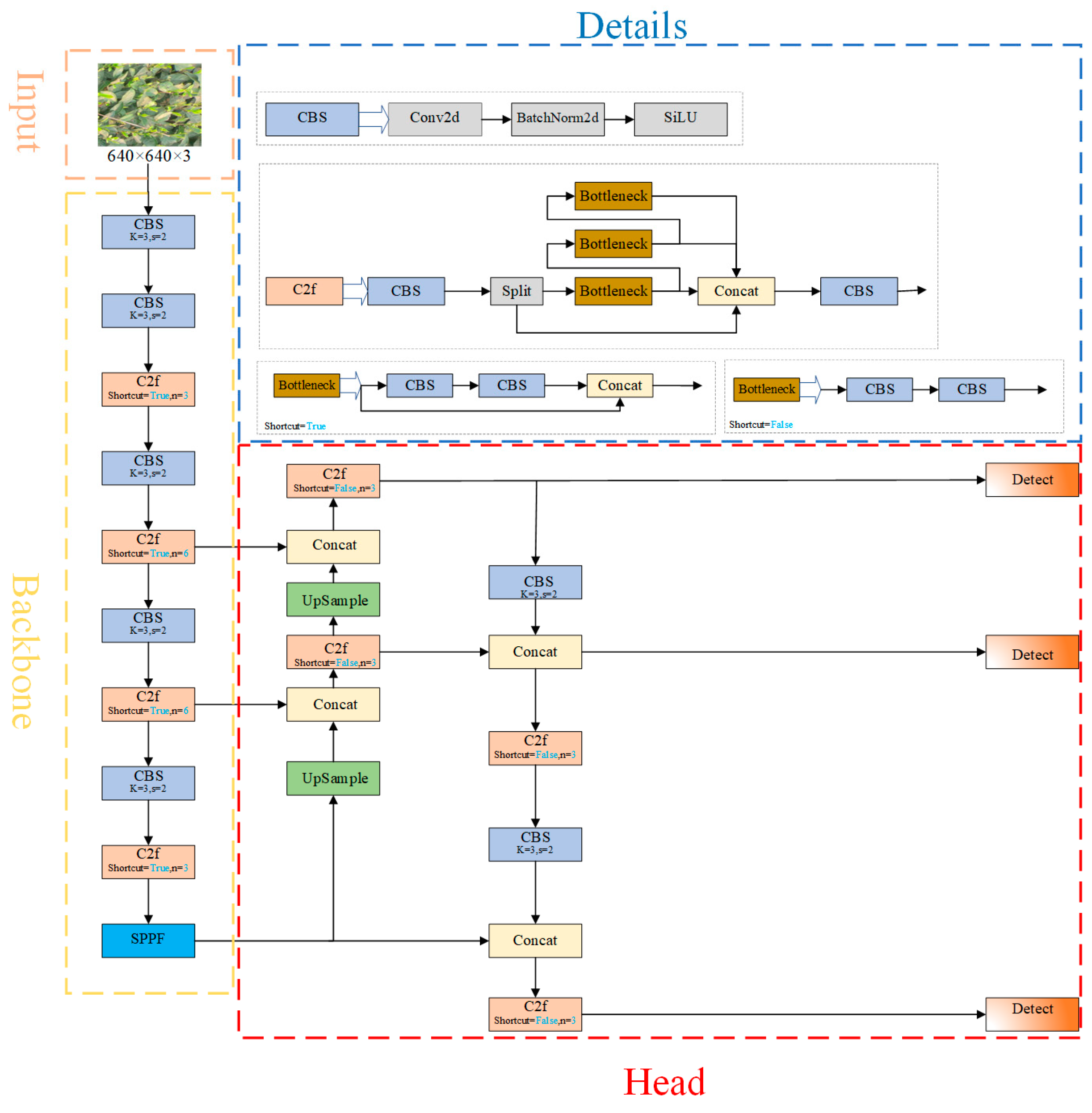 TBF-YOLOv8n: A Lightweight Tea Bud Detection Model Based on YOLOv8n ...