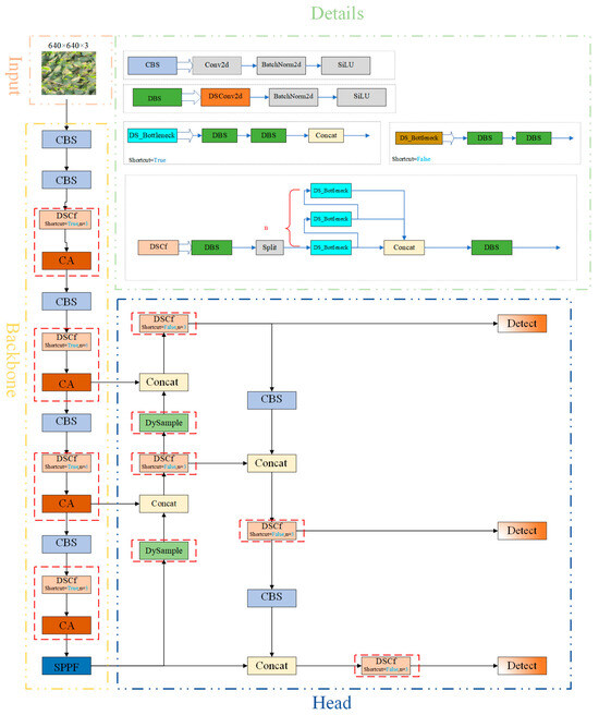 TBF-YOLOv8n: A Lightweight Tea Bud Detection Model Based on YOLOv8n ...