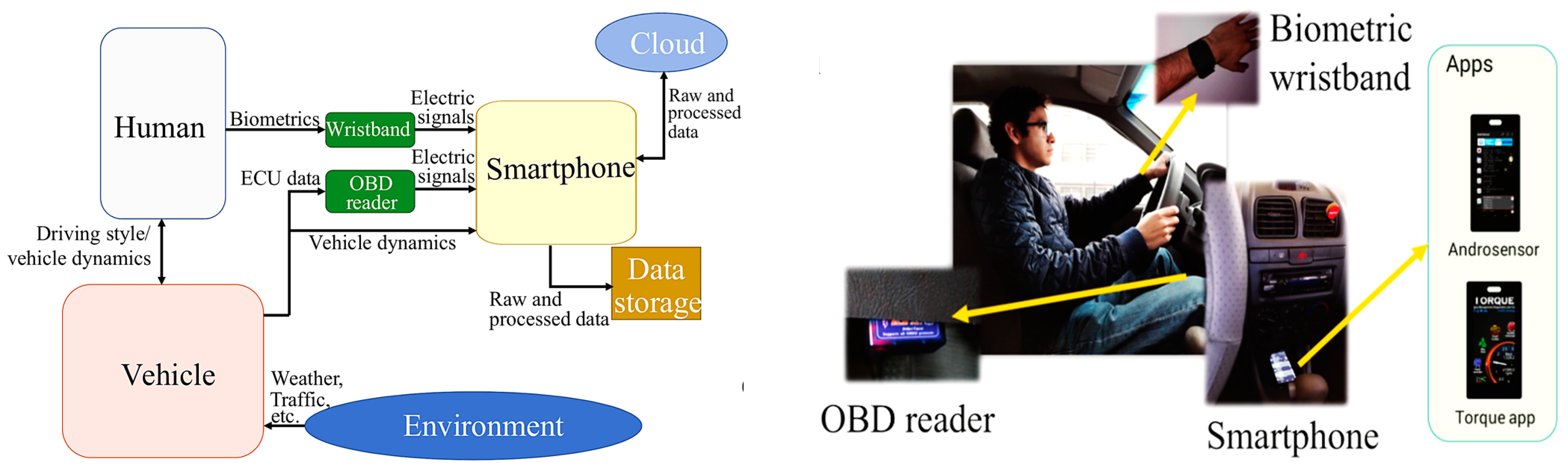 Sensors 25 00562 g005