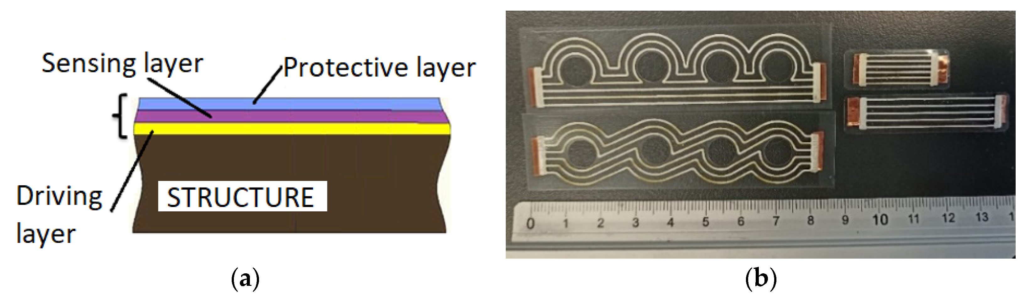 Sensors 25 00566 g001