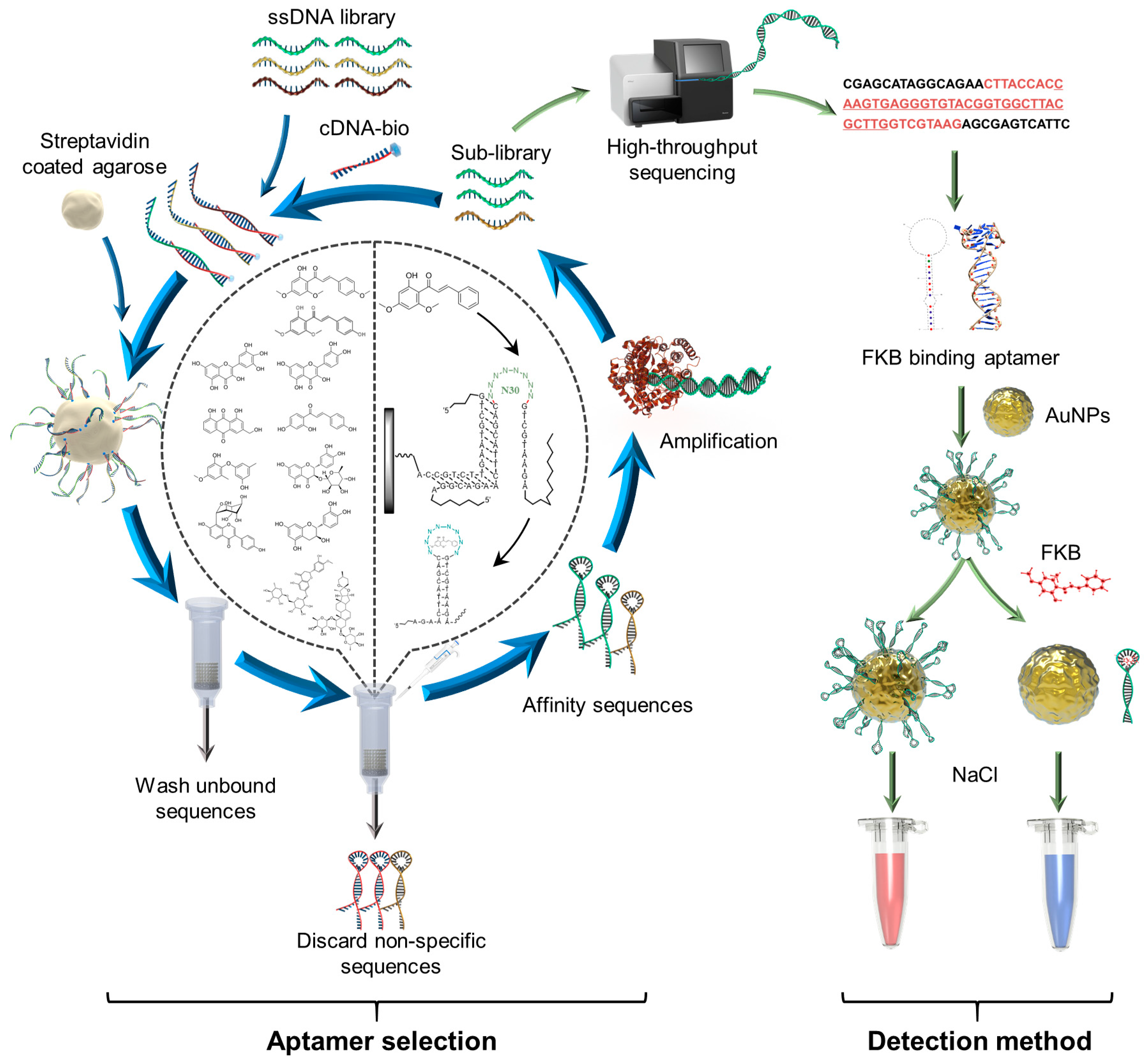 Sensors 25 00569 g001