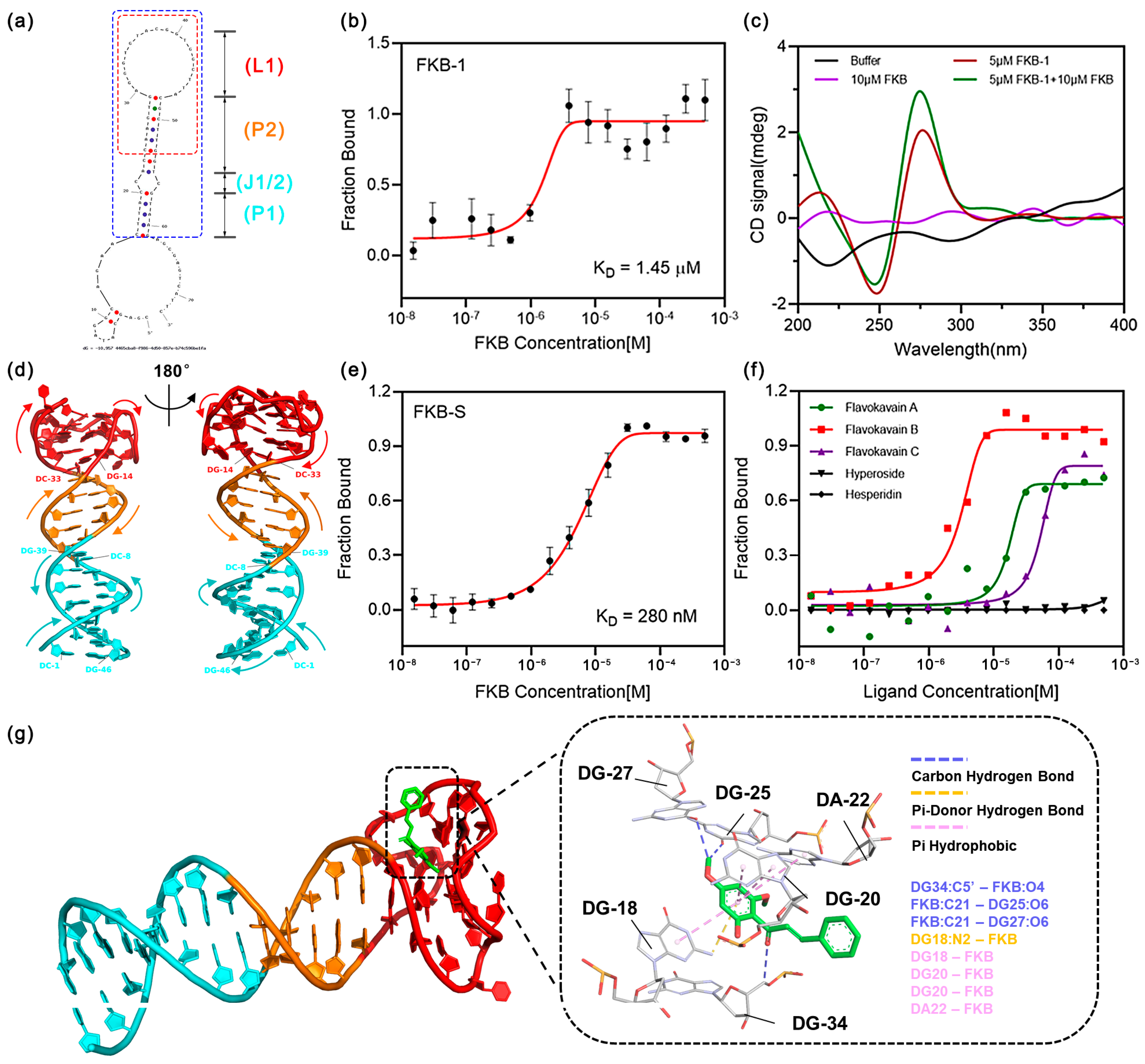 Sensors 25 00569 g003