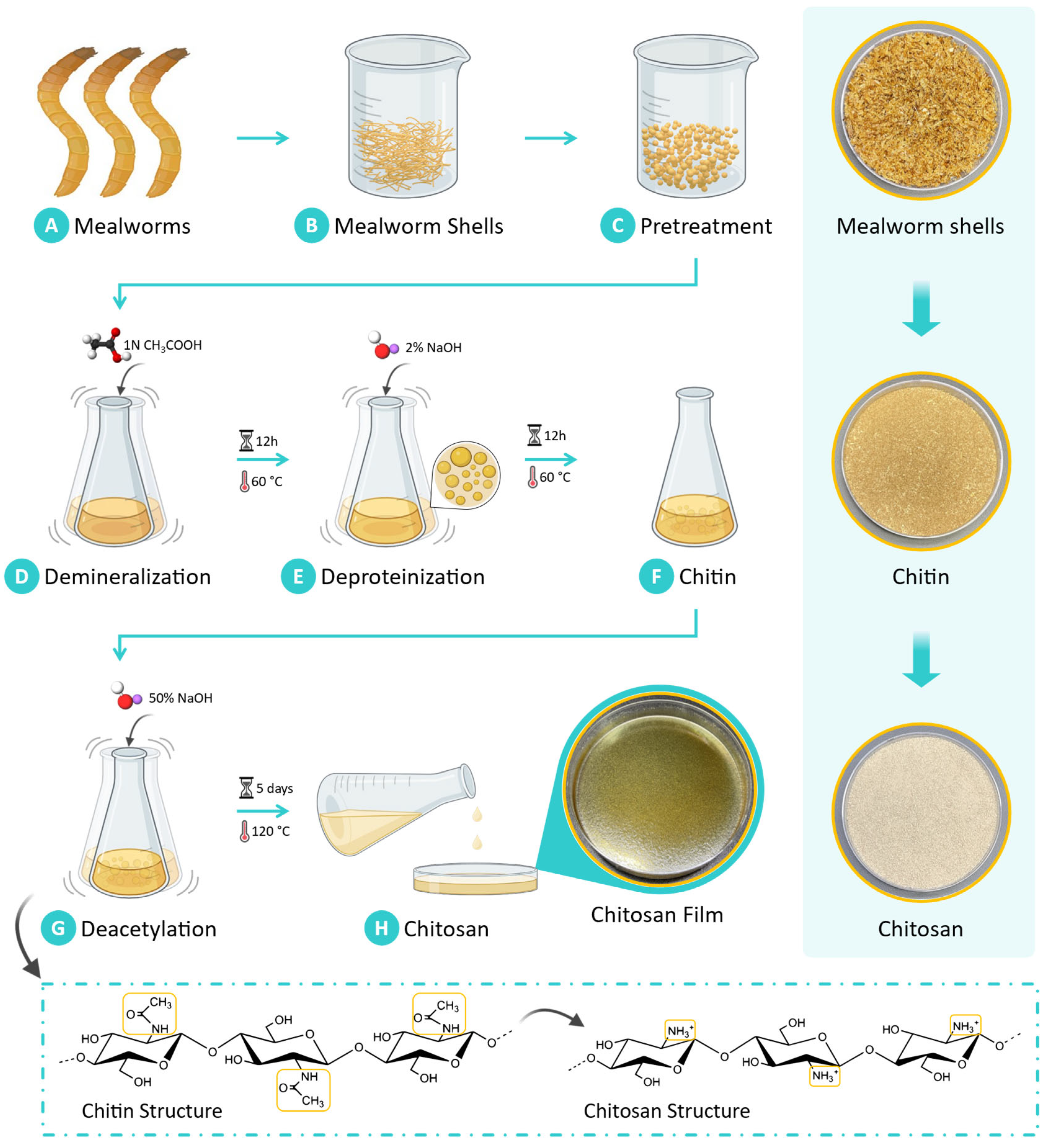 Sensors 25 00575 g001