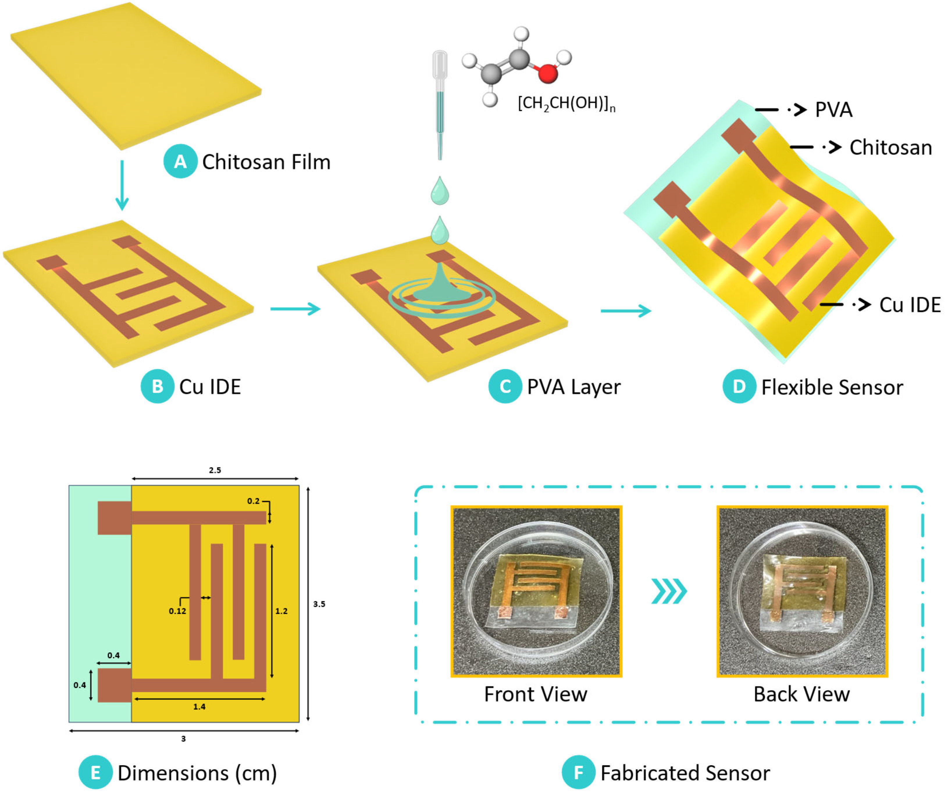Sensors 25 00575 g002
