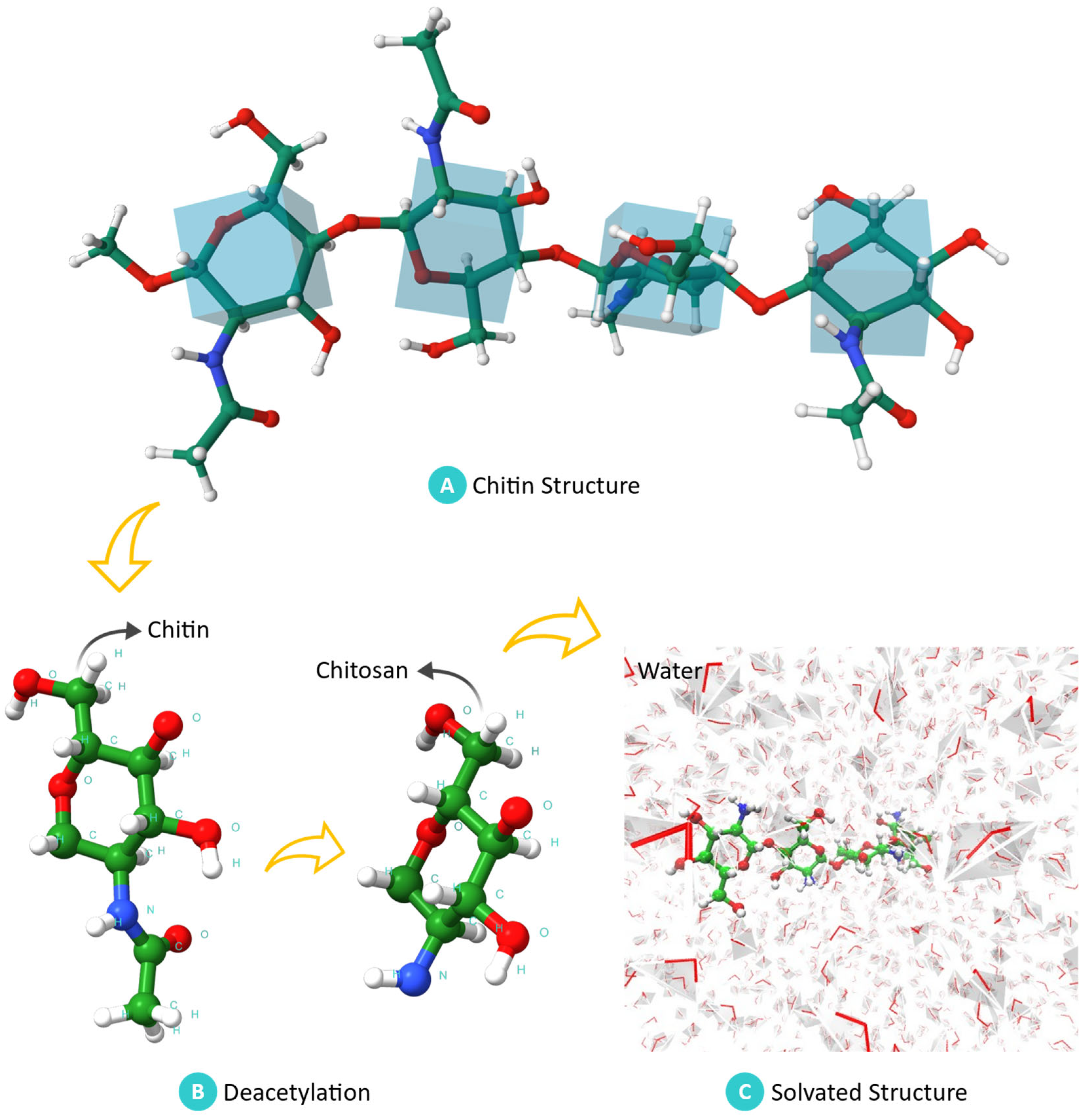 Sensors 25 00575 g004