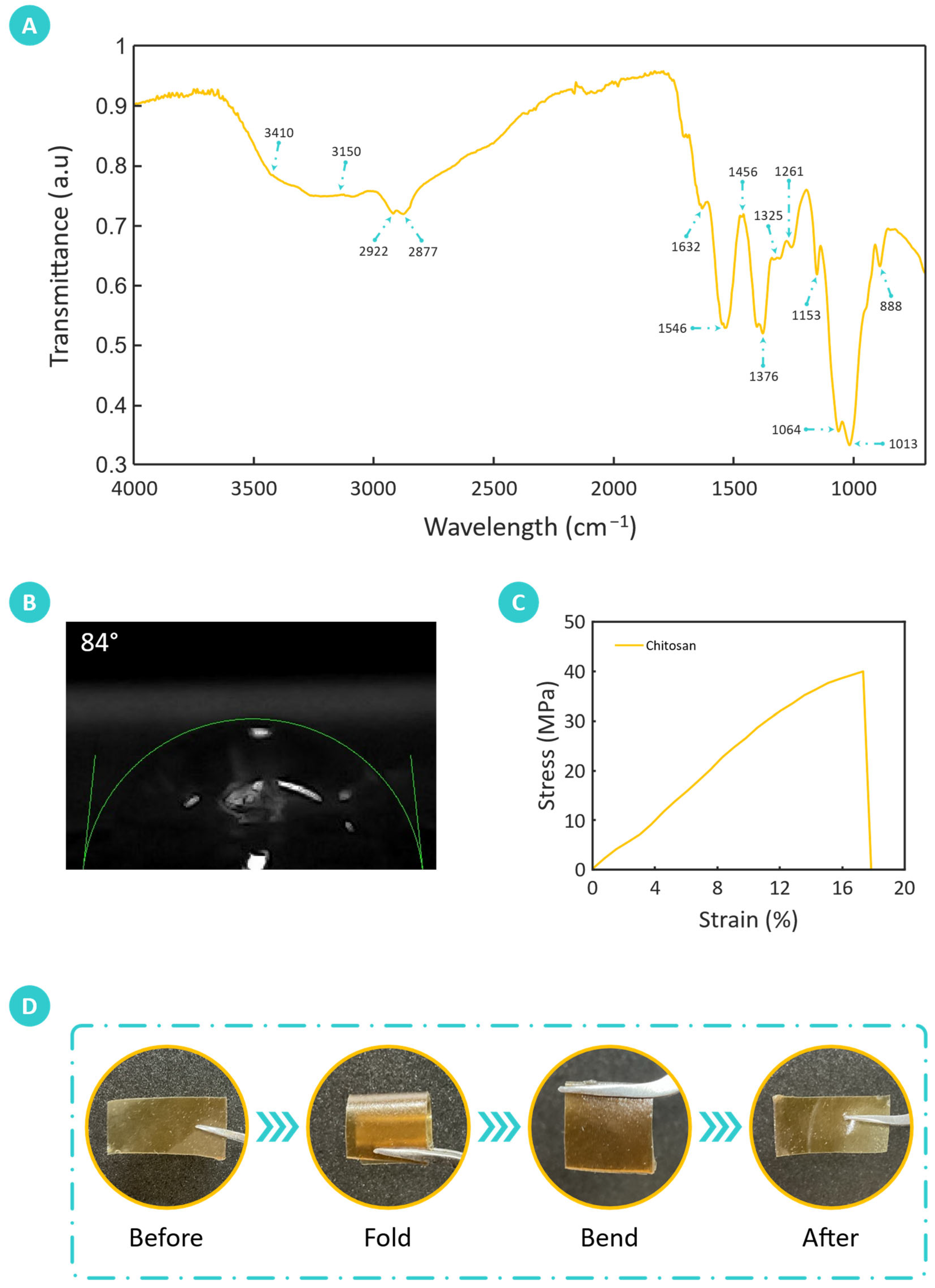 Sensors 25 00575 g005