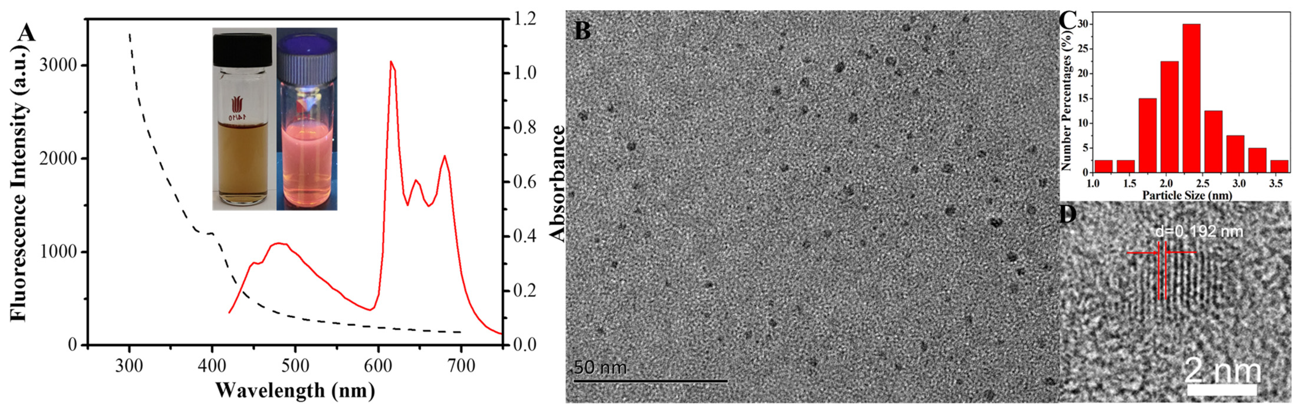 Sensors 25 00585 g001